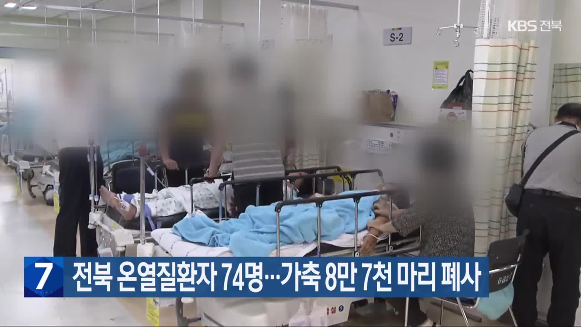 전북 온열질환자 74명…가축 8만 7천 마리 폐사