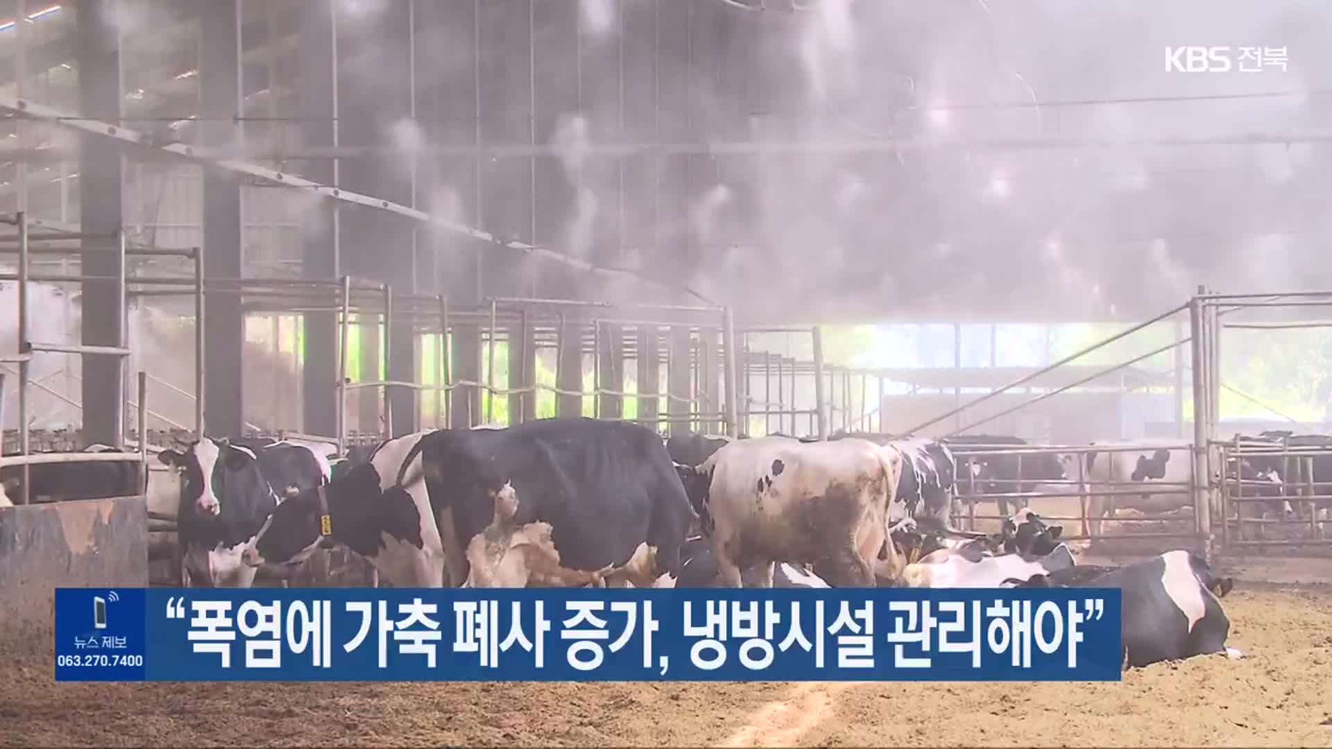 “폭염에 가축 폐사 증가, 냉방시설 관리해야”