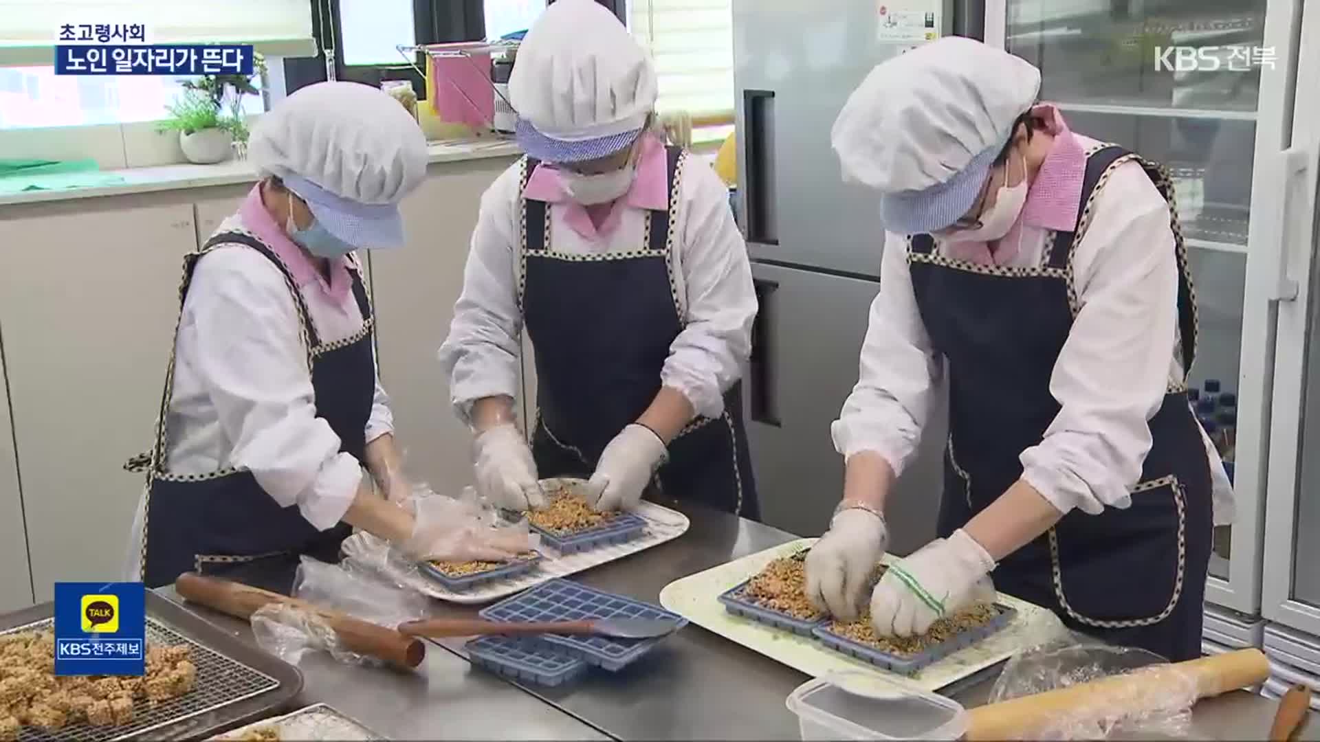 “경력과 재능도 활용”…진화 거듭하는 노인 일자리 