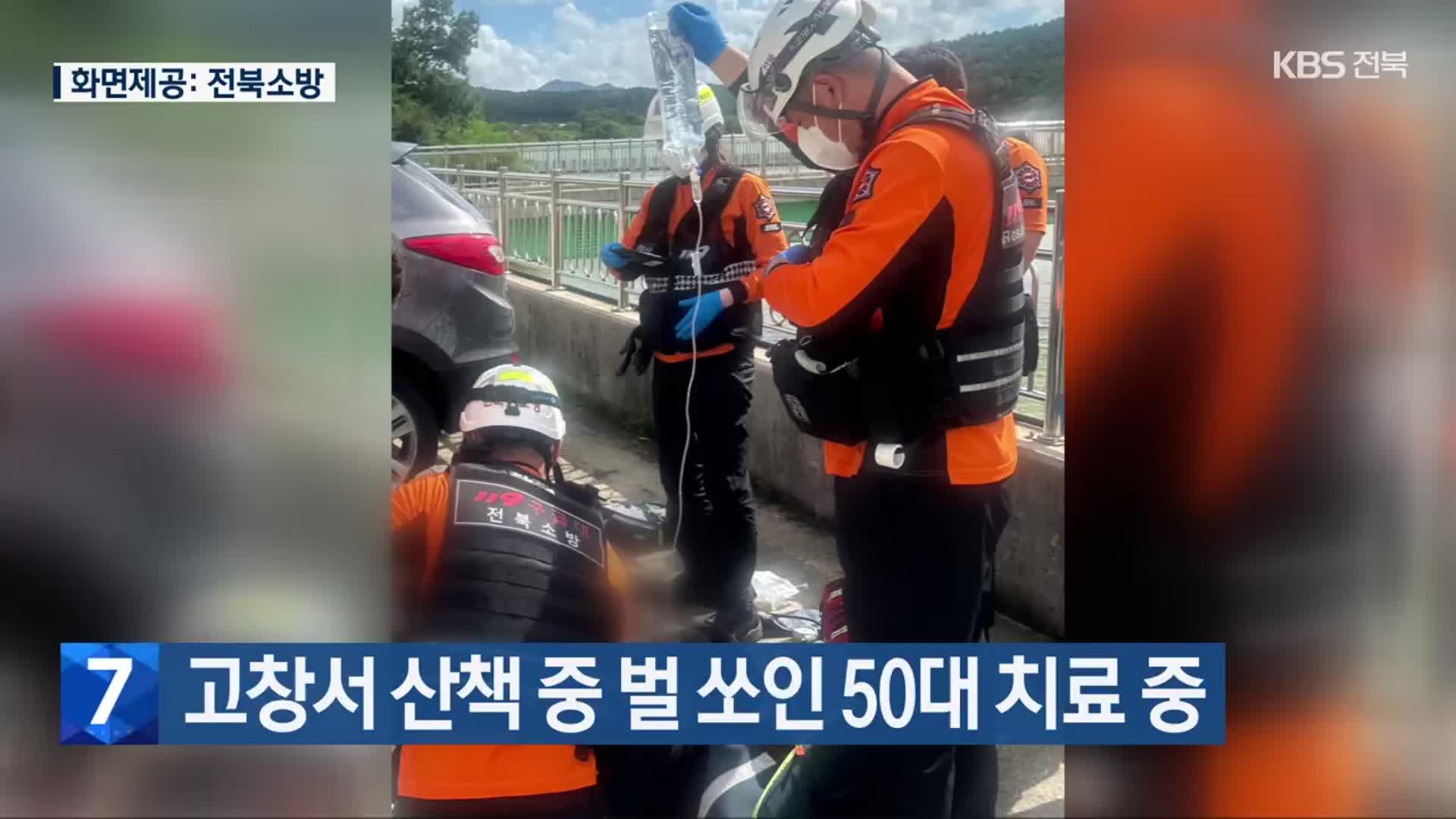 고창서 산책 중 벌 쏘인 50대 치료 중