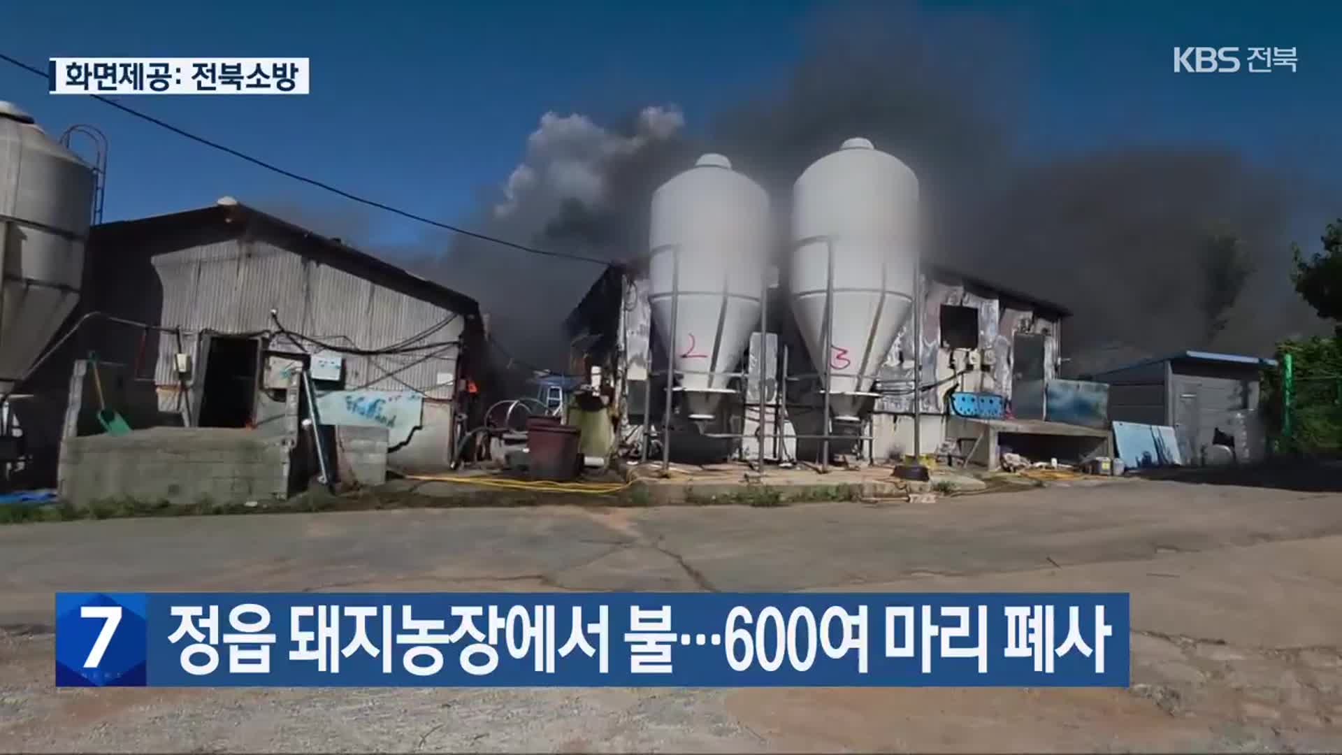 정읍 돼지농장에서 불…600여 마리 폐사
