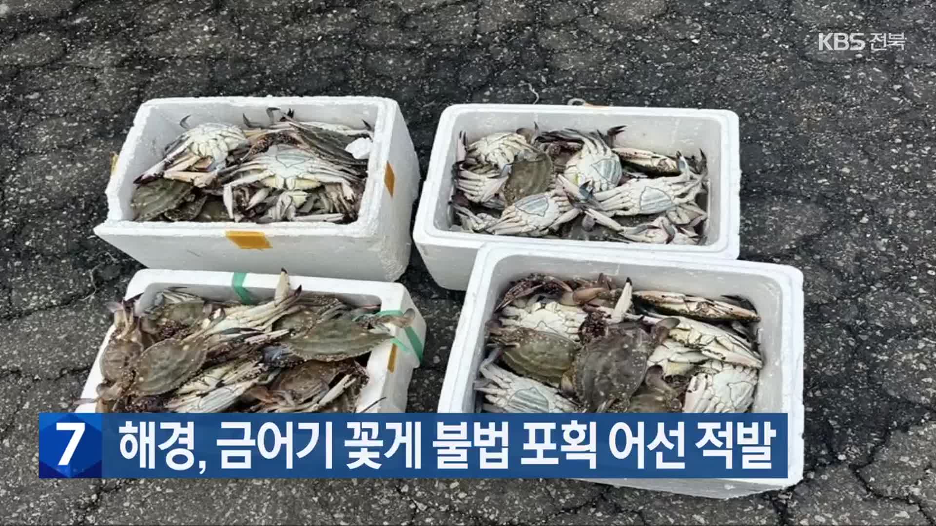 해경, 금어기 꽃게 불법 포획 어선 적발