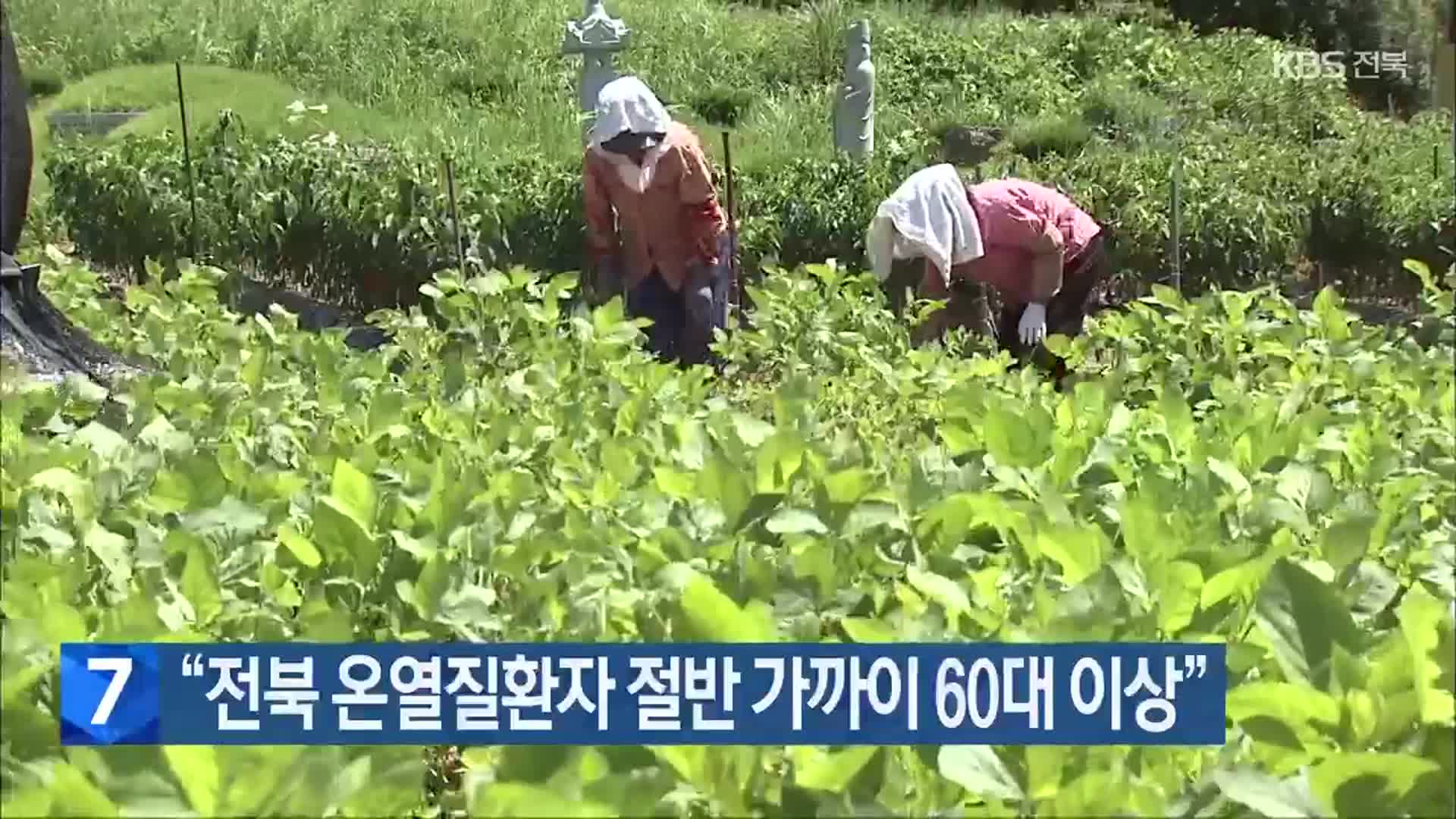 “전북 온열질환자 절반 가까이 60대 이상”