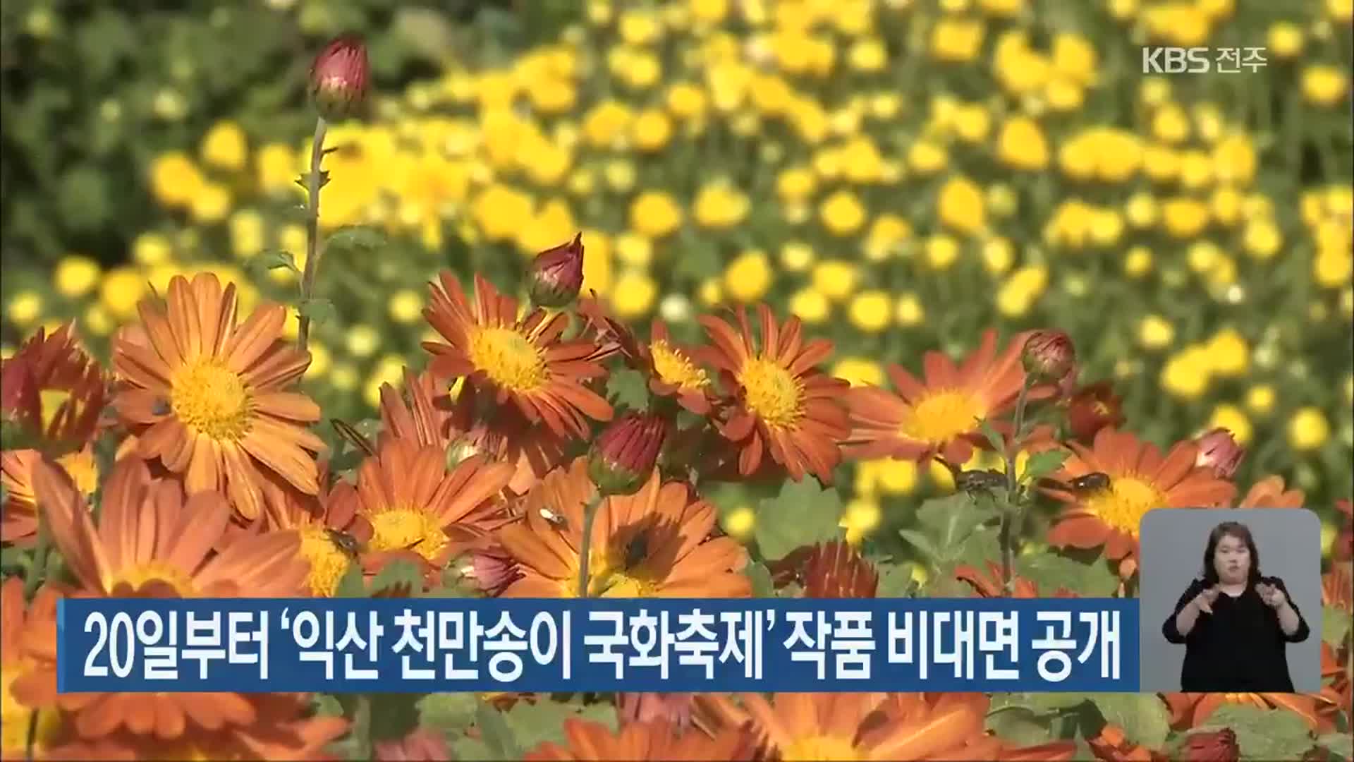 20일부터 ‘익산 천만송이 국화축제’ 작품 비대면 공개