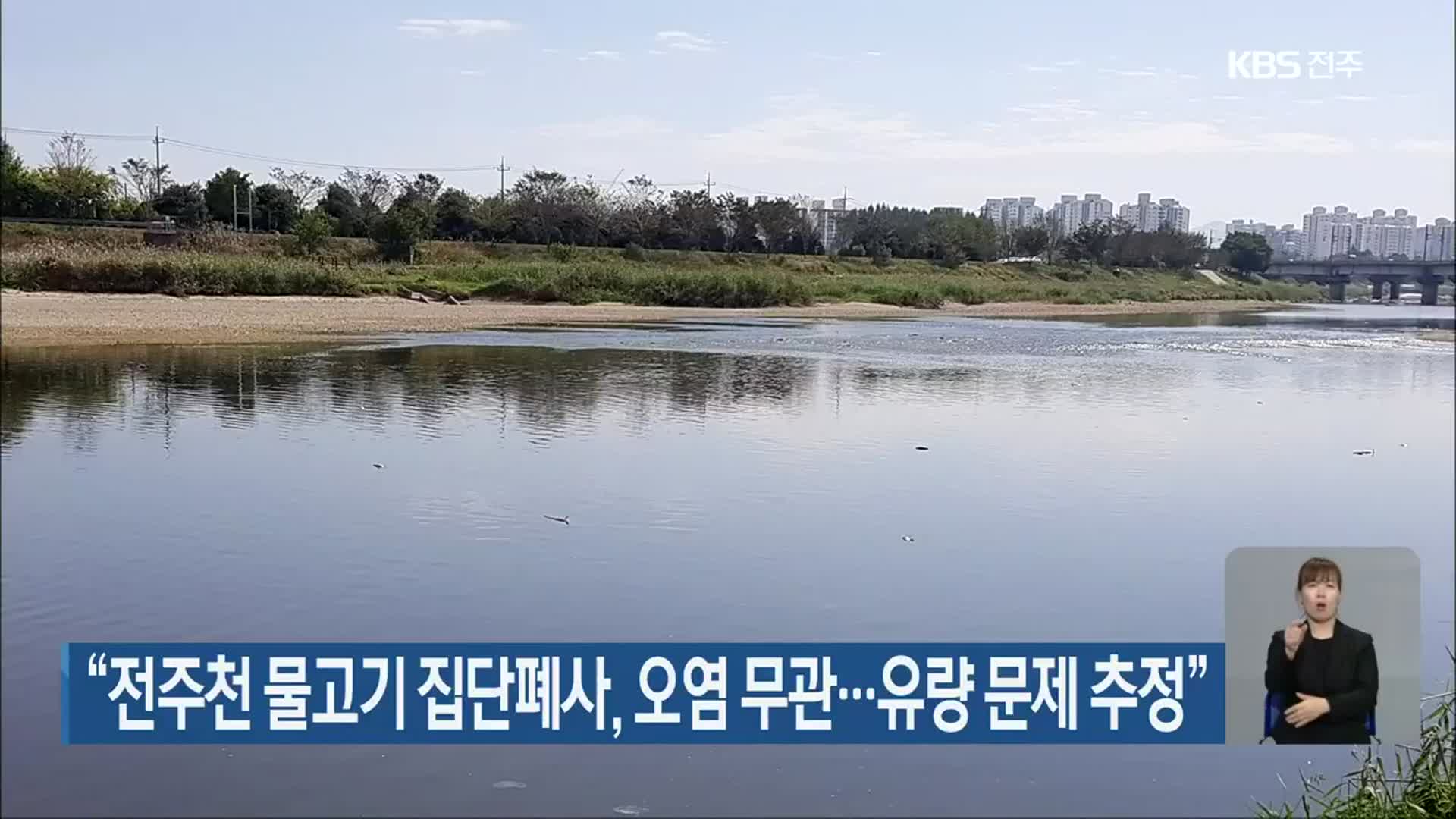 “전주천 물고기 집단폐사, 오염 무관…유량 문제 추정”