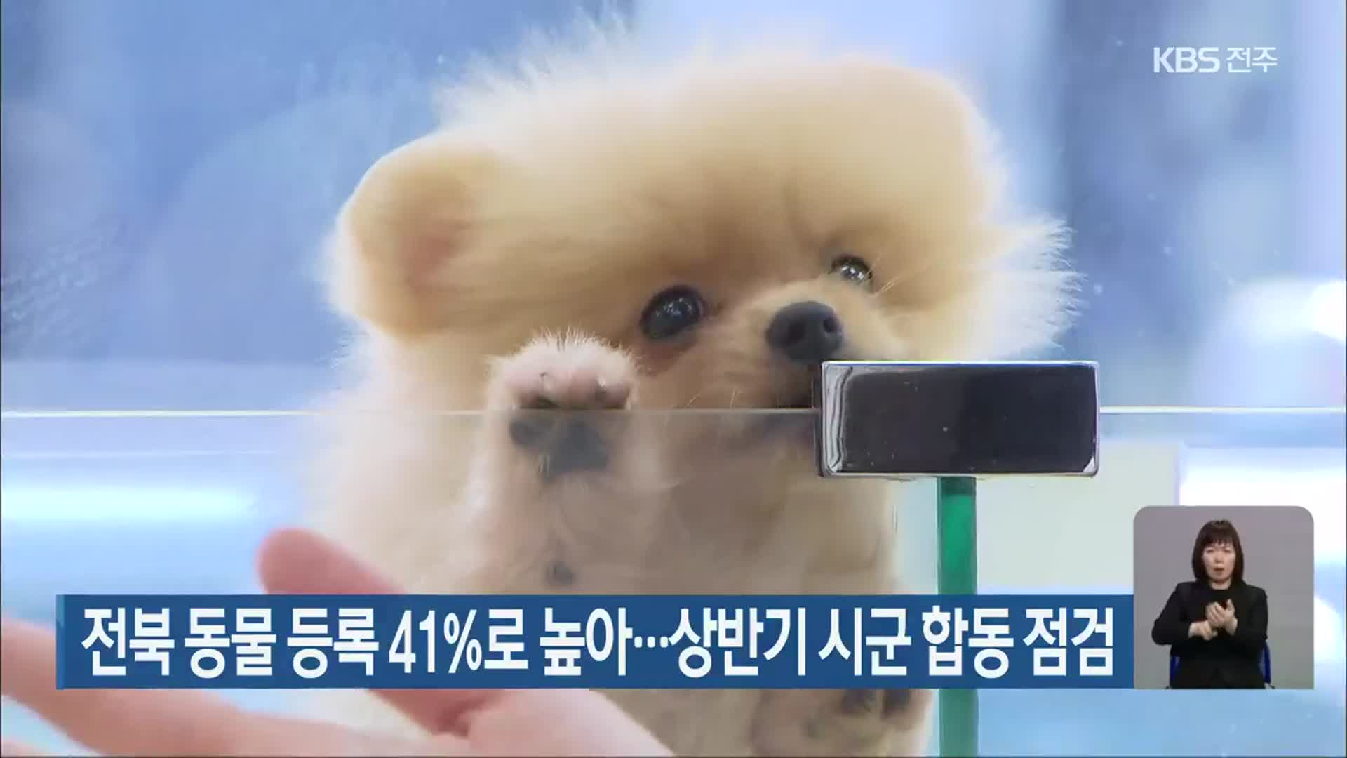 전북 동물 등록 41%로 높아…상반기 시군 합동 점검