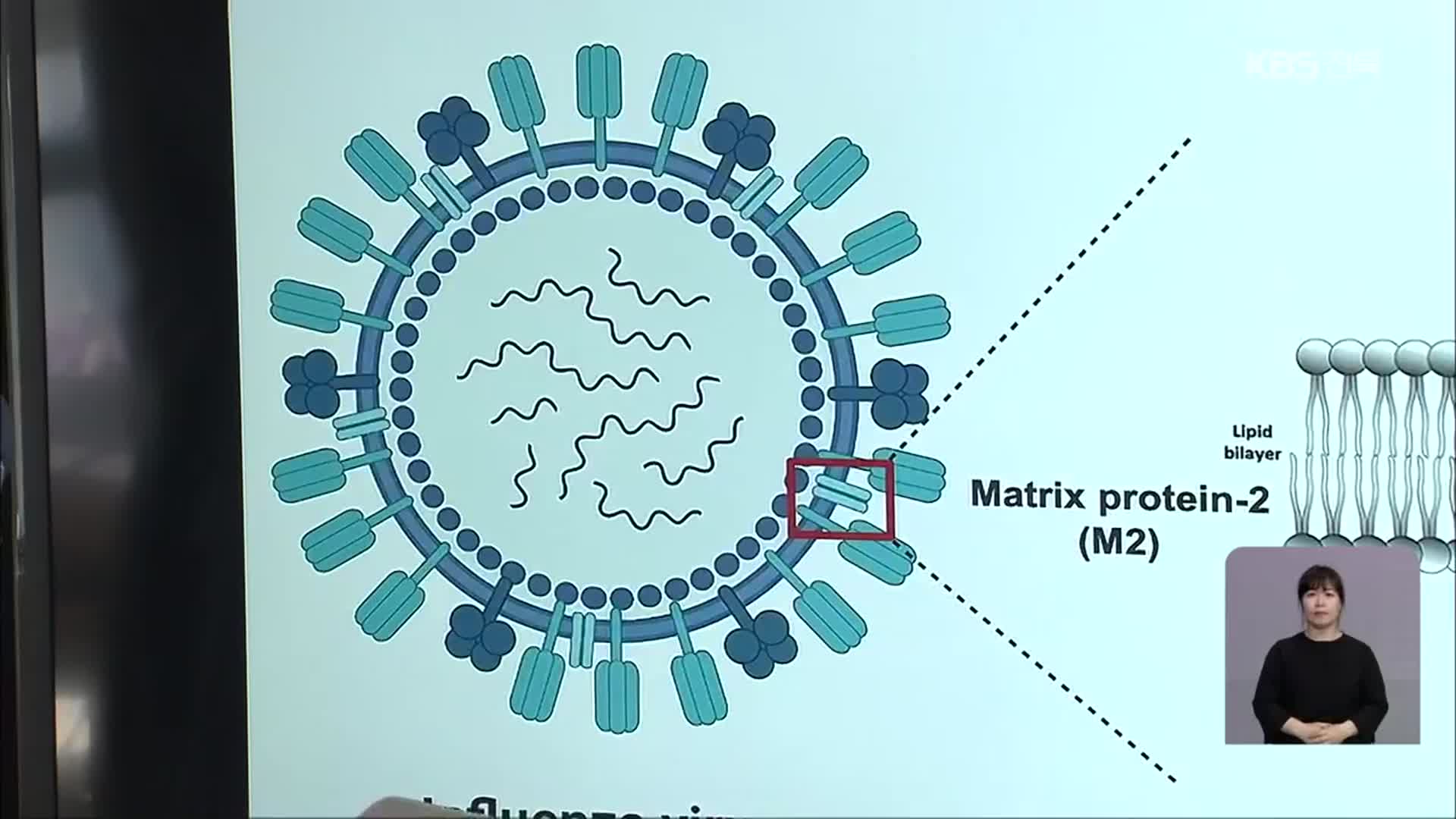 변이 바이러스에도 면역 가능한 백신 개발