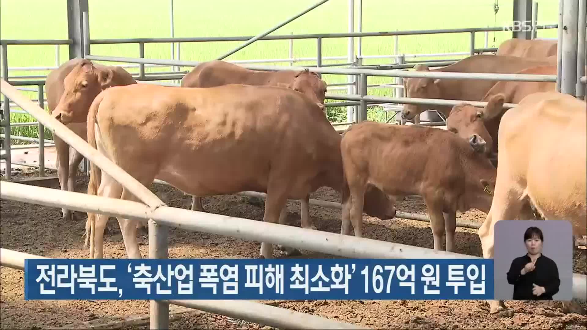 전라북도, ‘축산업 폭염 피해 최소화’ 167억 원 투입