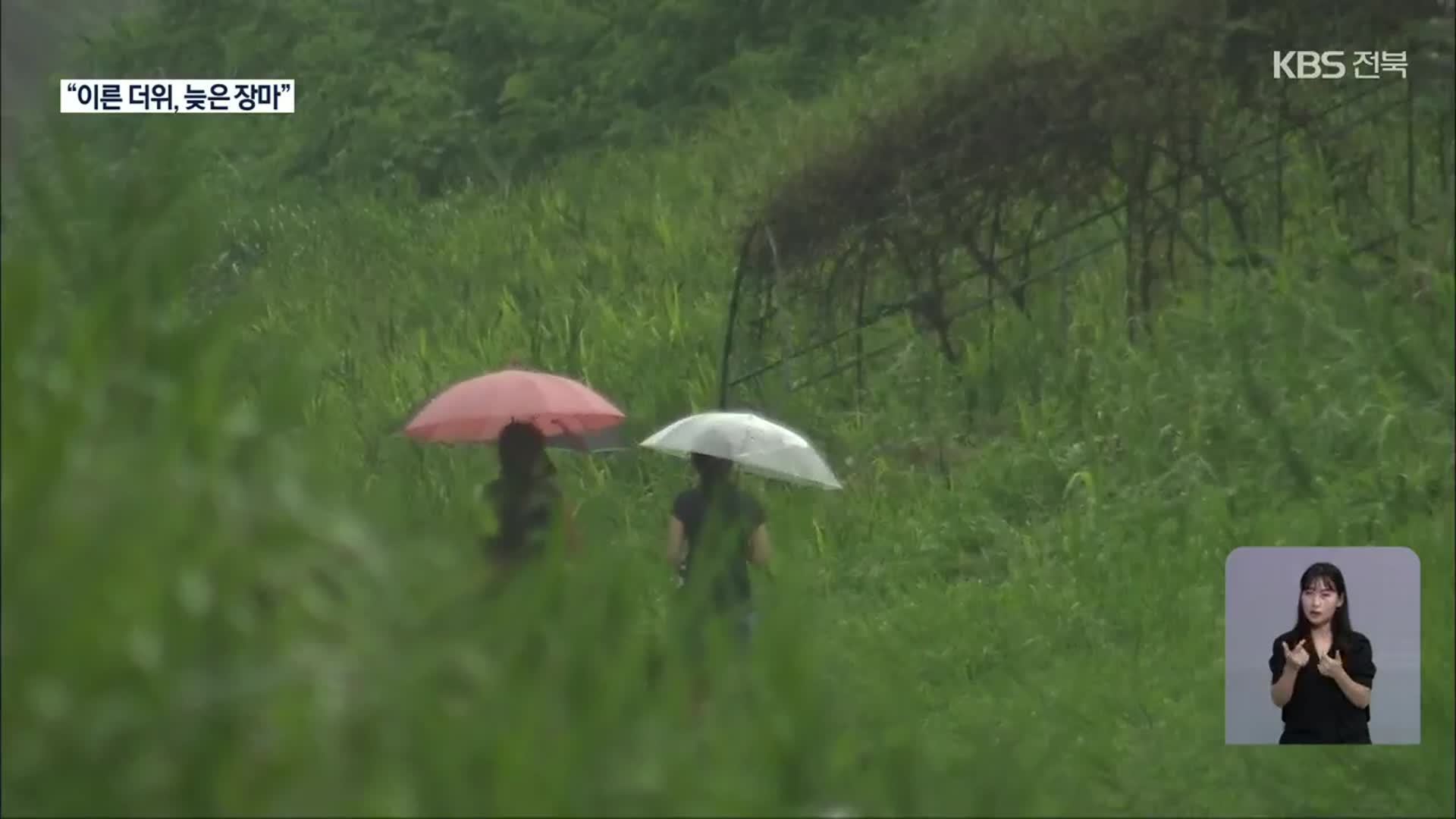 올여름 전북 날씨는?…“더위 빠르고 장마 늦었다”