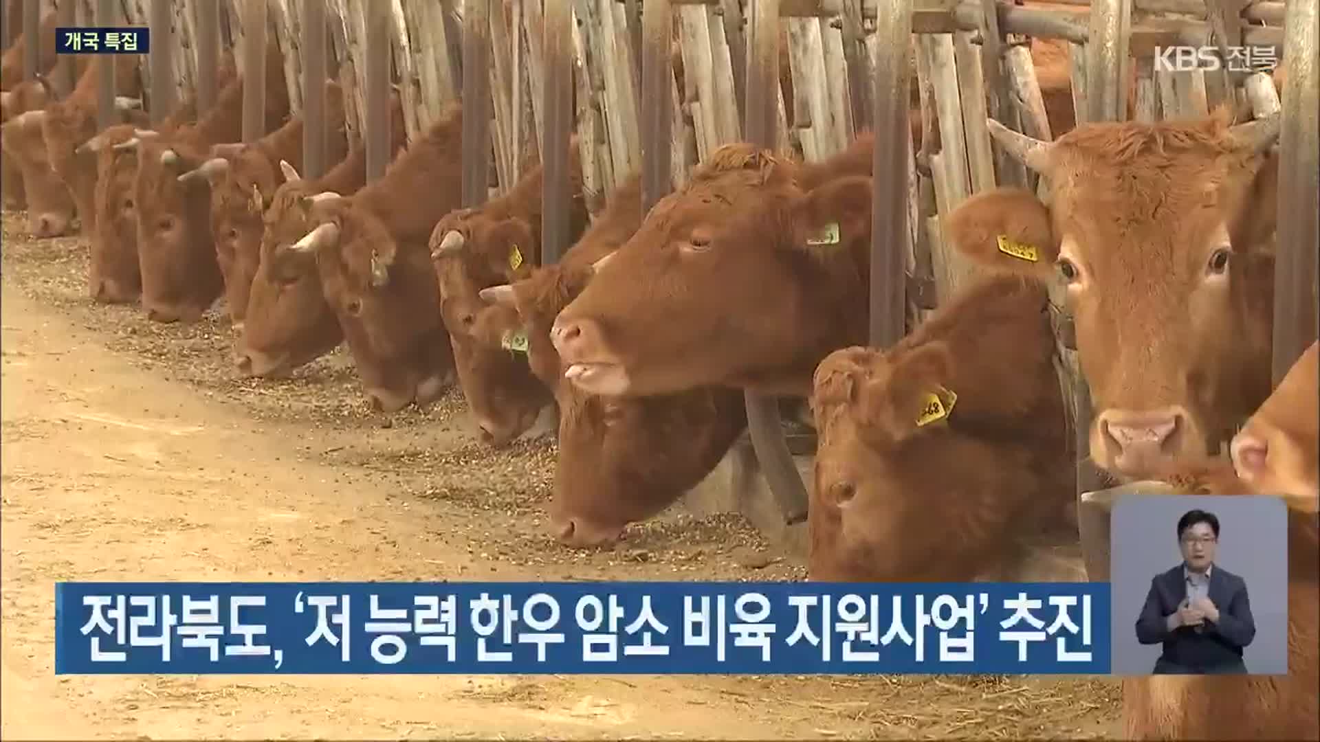 전라북도, ‘저 능력 한우 암소 비육 지원사업’ 추진