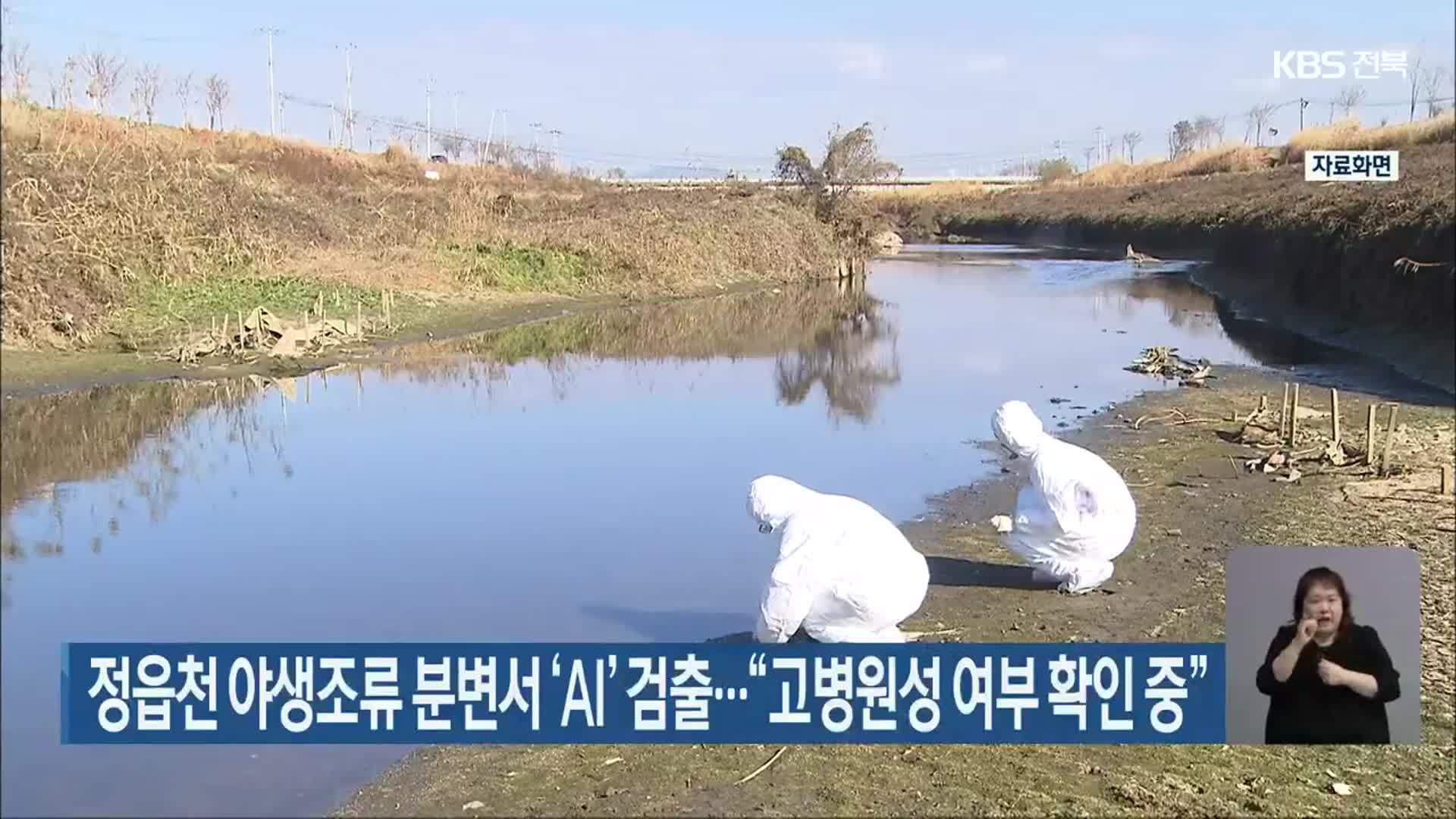 정읍천 야생조류 분변서 ‘AI’ 검출…“고병원성 여부 확인 중”