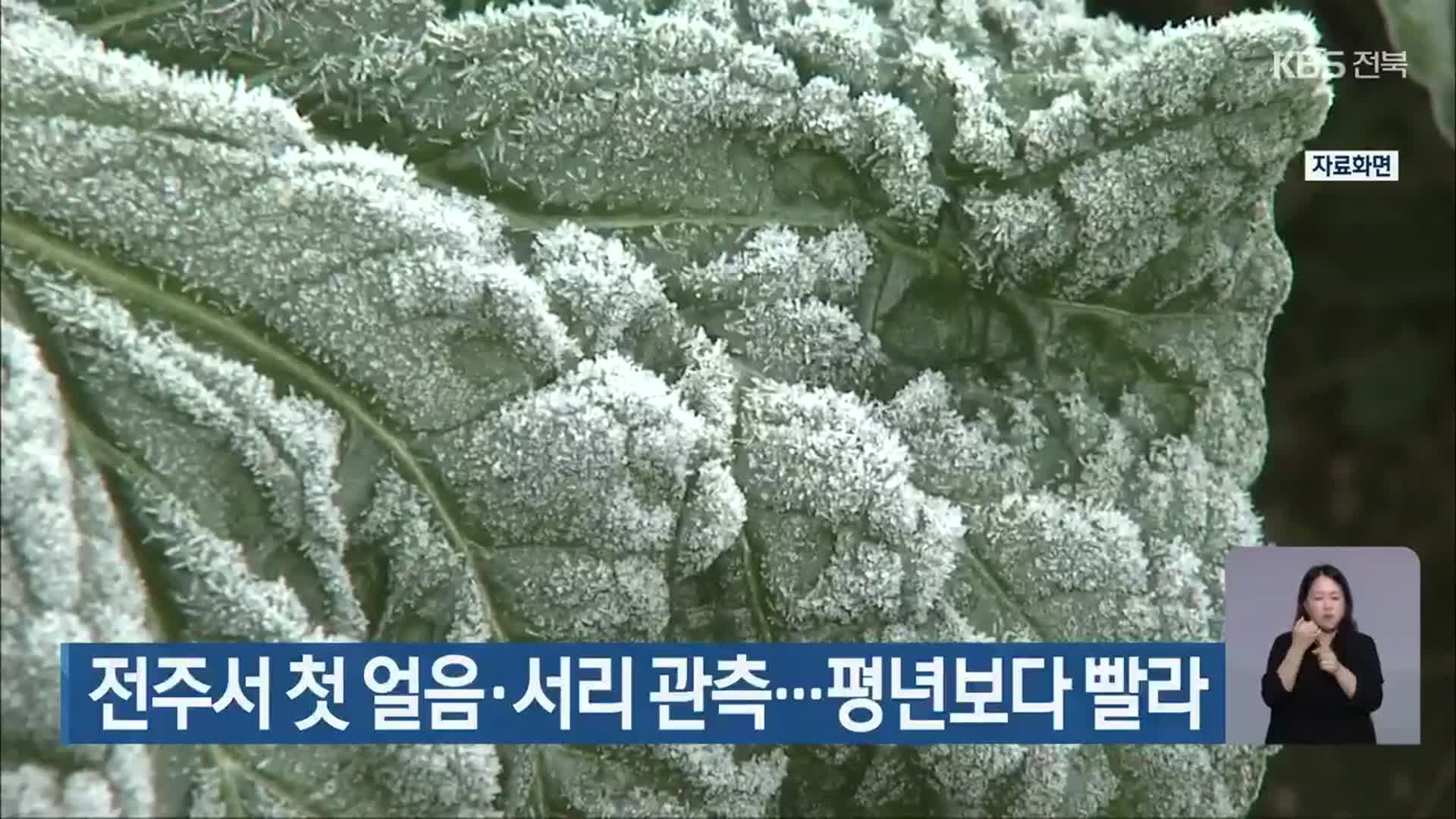 전주서 첫 얼음·서리 관측…평년보다 빨라