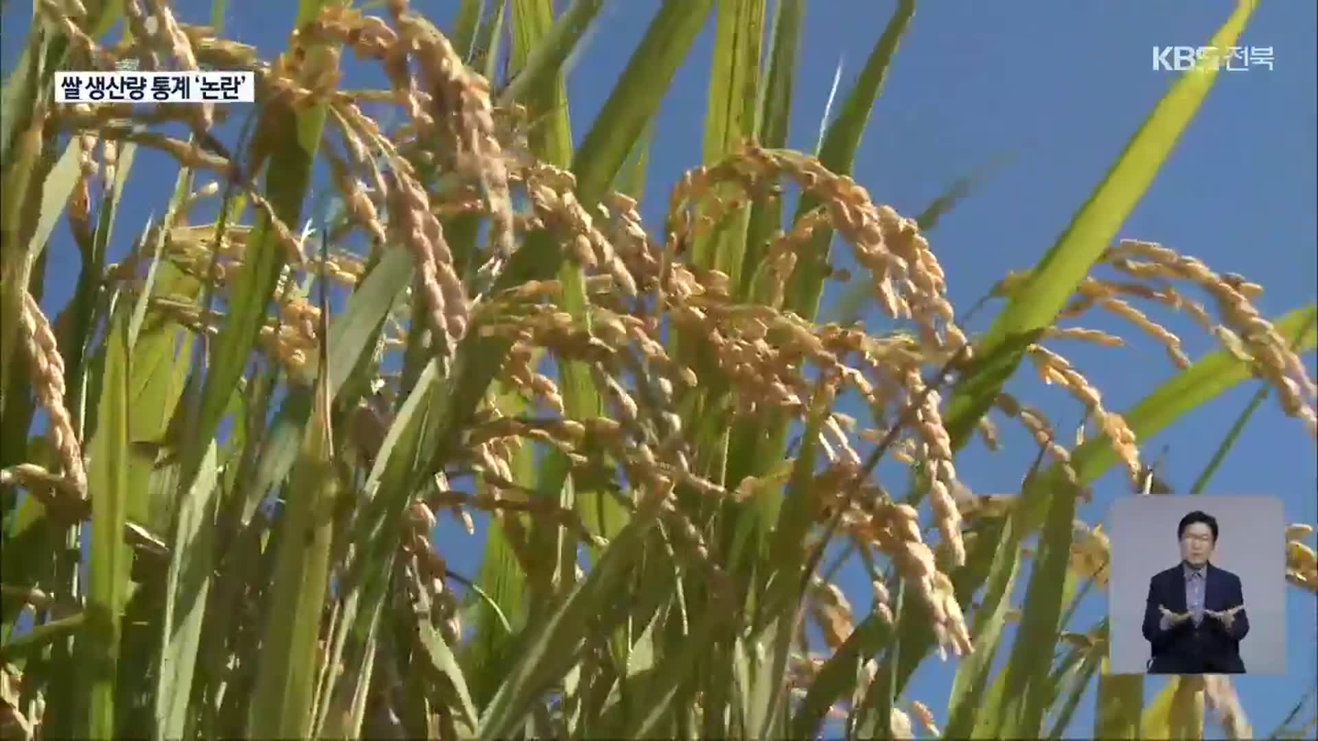 “현장은 감소” “통계는 증가”…올해 쌀 생산량 ‘논란’