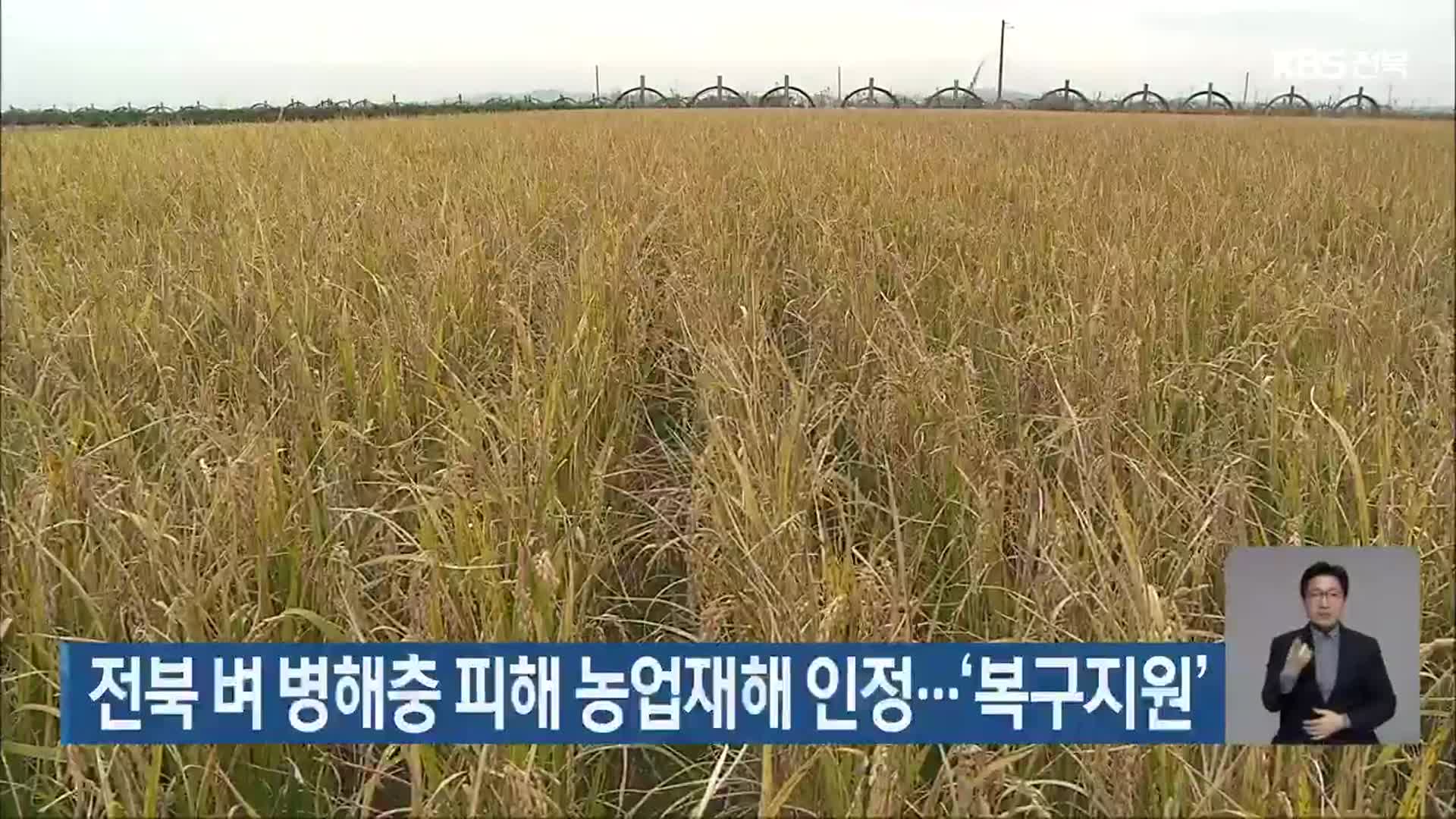 전북 벼 병해충 피해 농업재해 인정…‘복구 지원’