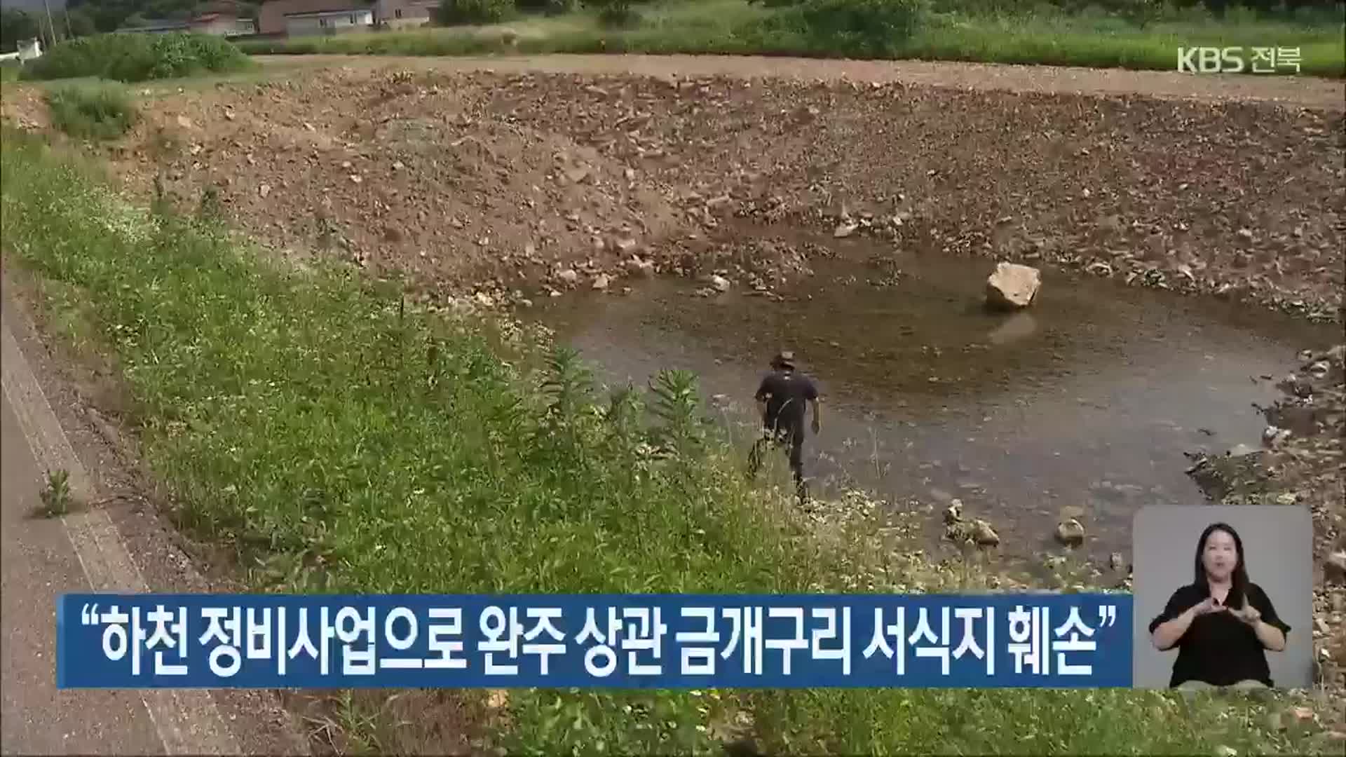 “하천 정비사업으로 완주 상관 금개구리 서식지 훼손”