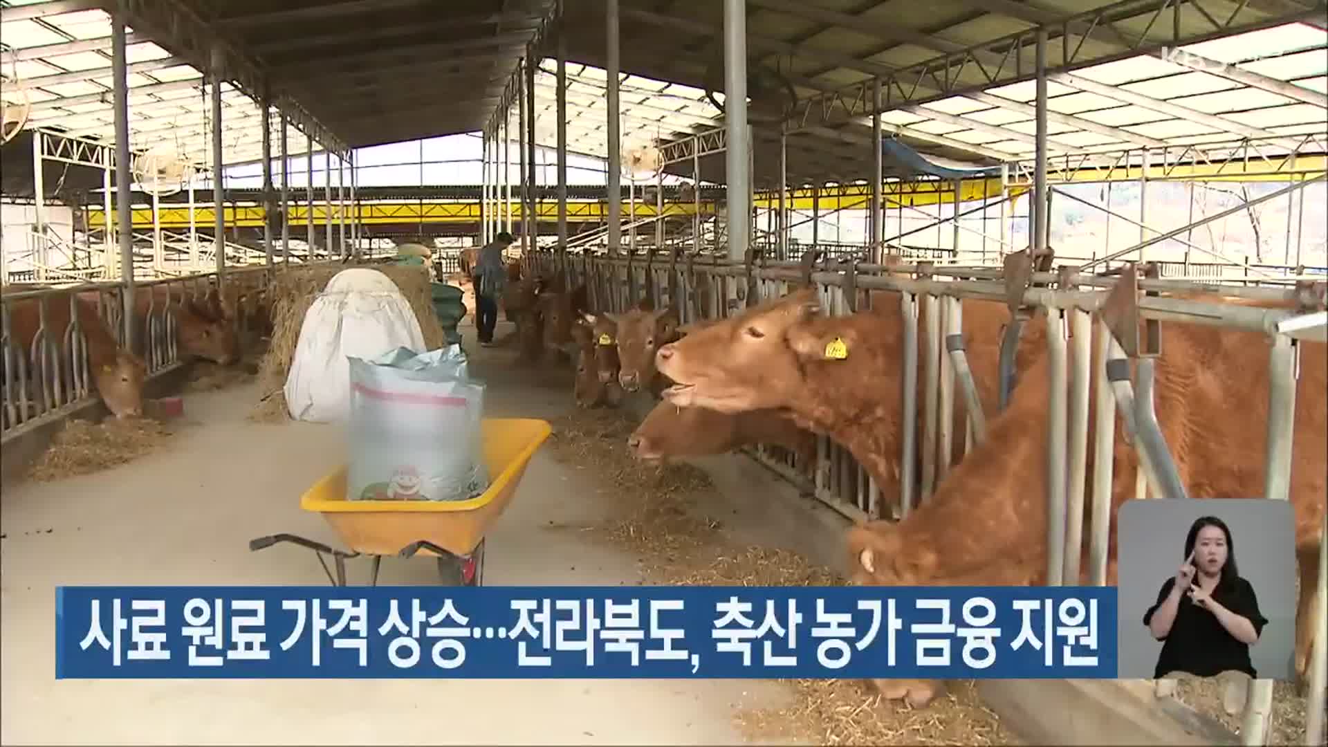 사료 원료 가격 상승…전라북도, 축산 농가 금융 지원