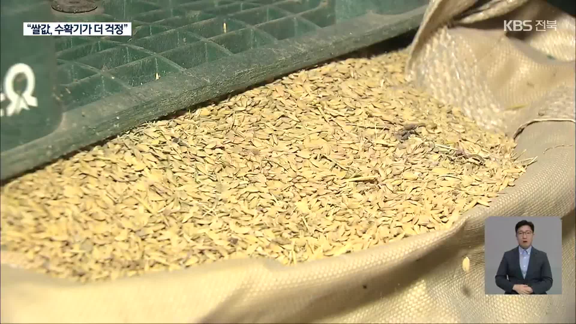 폭락하는 쌀값…“수확기가 더 걱정”