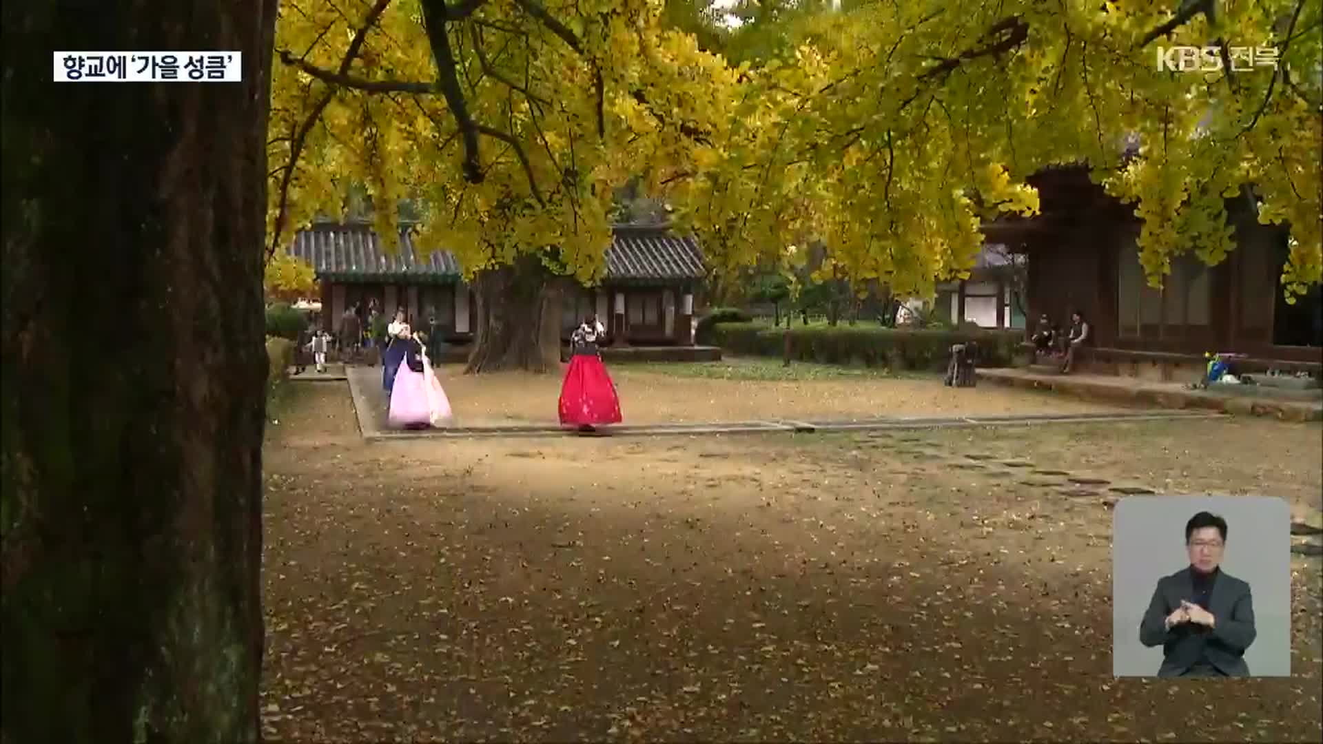 [영상] 가을을 기다리는 전주향교