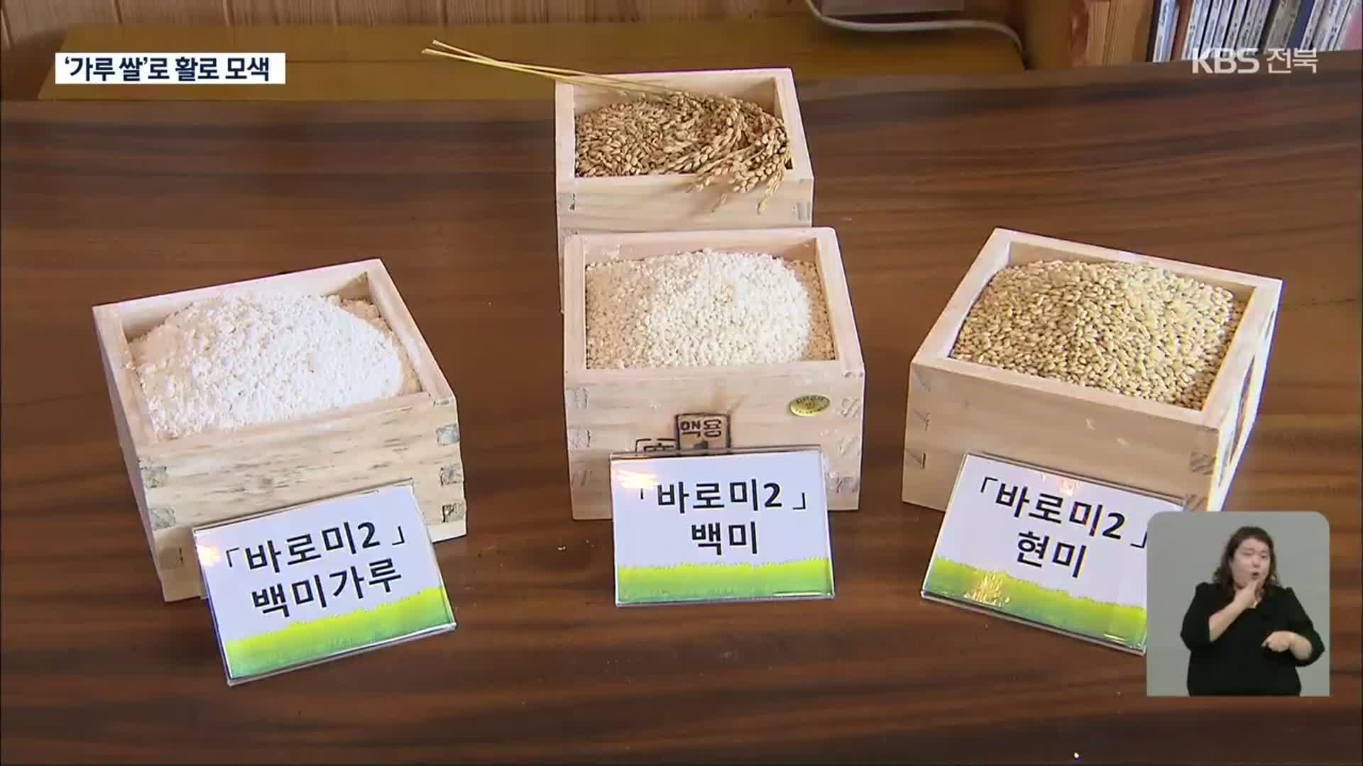 줄어드는 쌀 소비…‘가루 쌀’로 활로 찾을까?