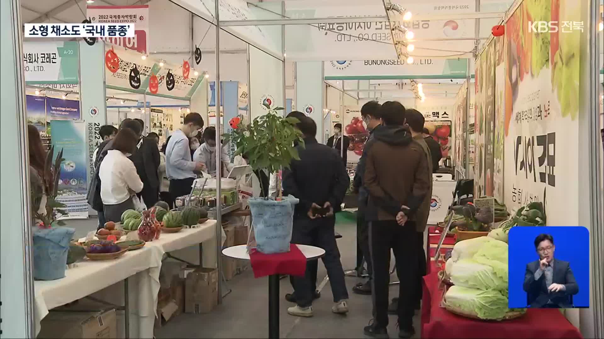 국내 유일 ‘종자박람회’…1인 가구 겨냥 K-종자 ‘눈길’