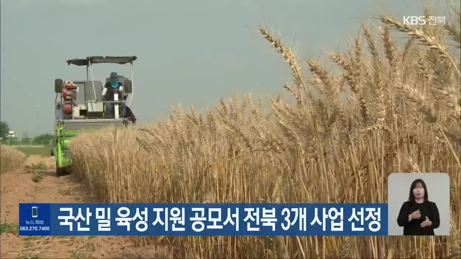 국산 밀 육성 지원 공모서 전북 3개 사업 선정