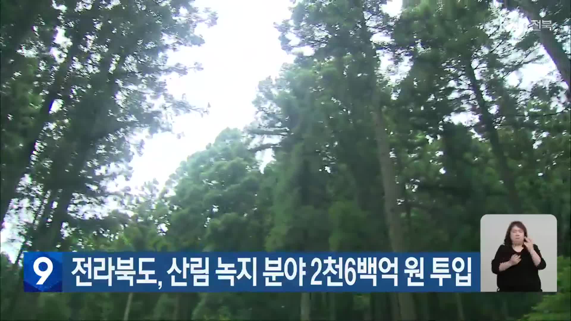 전라북도, 산림 녹지 분야 2천6백억 원 투입