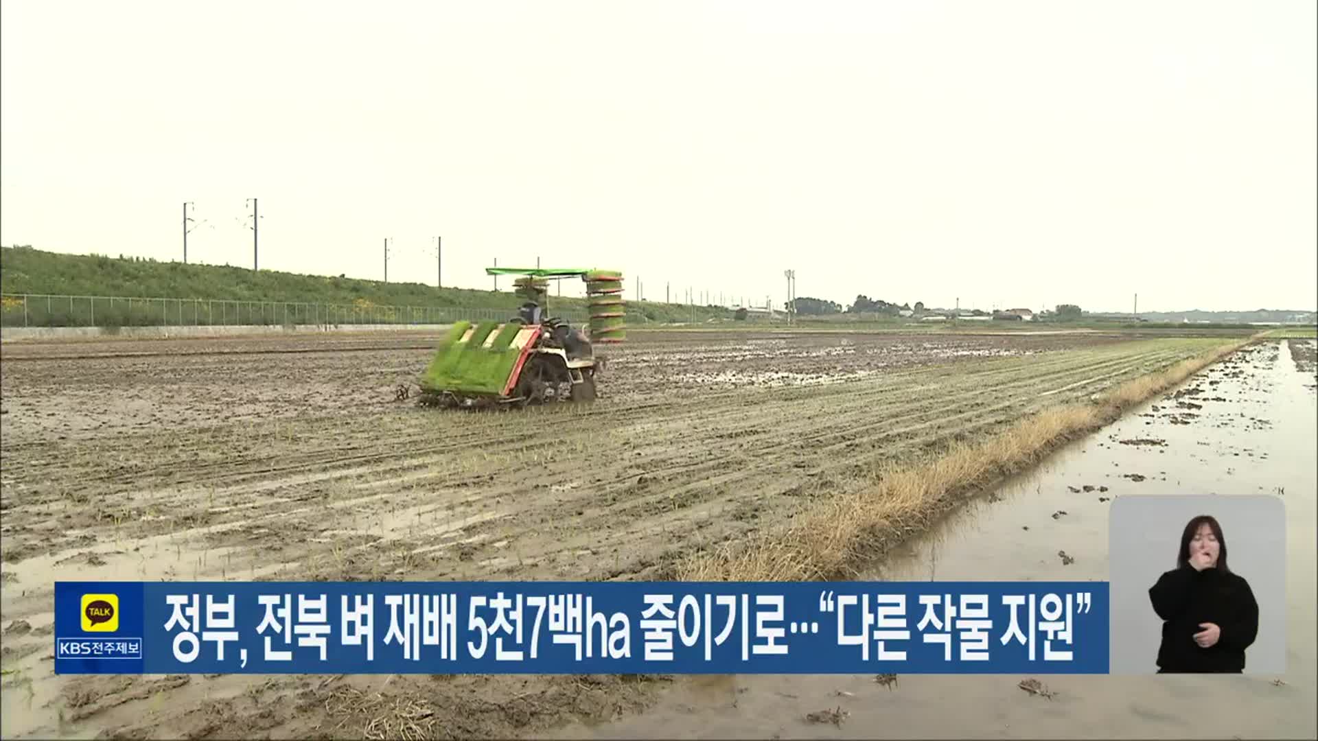 정부, 전북 벼 재배 5천7백ha 줄이기로…“다른 작물 지원”
