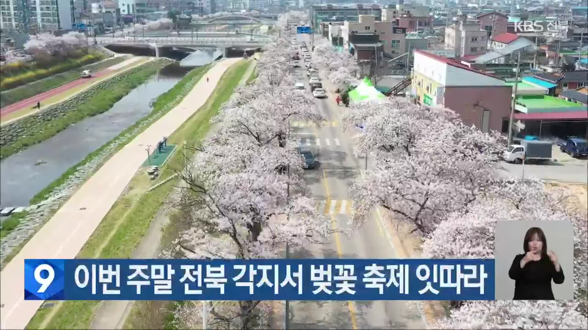 이번 주말 전북 각지서 벚꽃 축제 잇따라