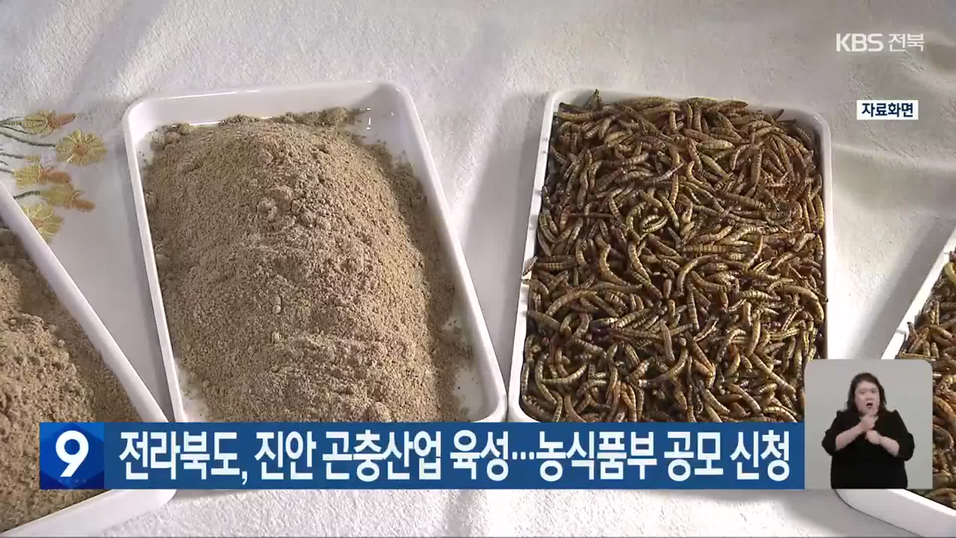 전라북도, 진안 곤충산업 육성…농식품부 공모 신청