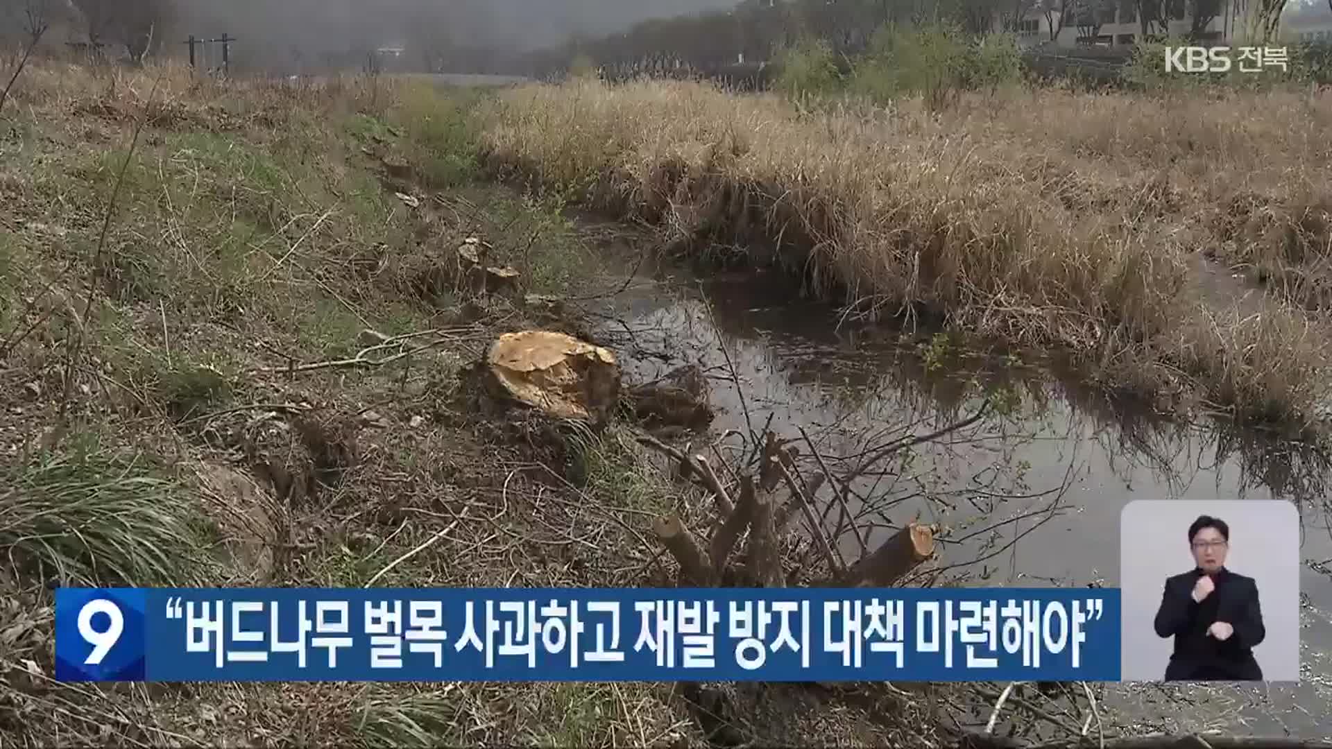 “버드나무 벌목 사과하고 재발 방지 대책 마련해야”