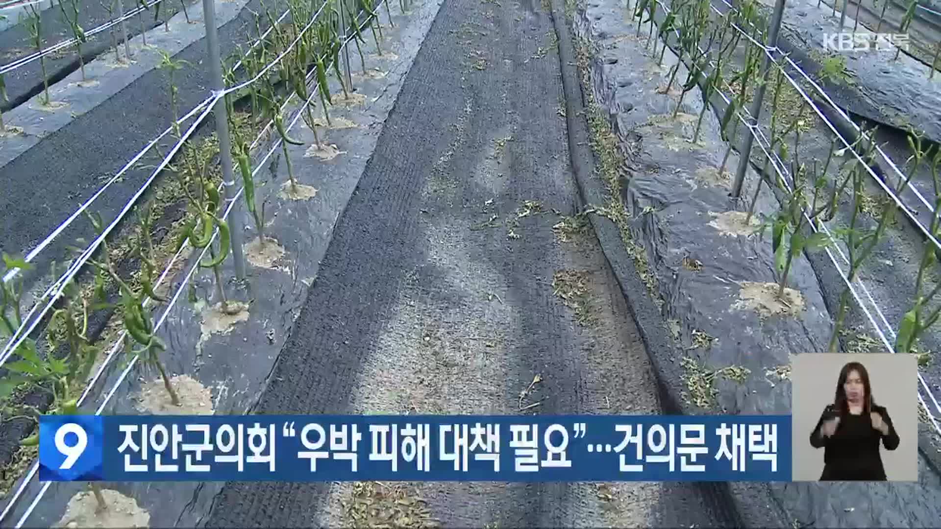 진안군의회 “우박 피해 대책 필요”…건의문 채택