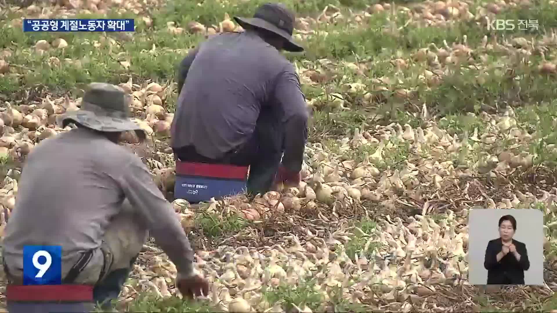 전북 농업 인력난…“‘공공형 계절노동자’로 활로”