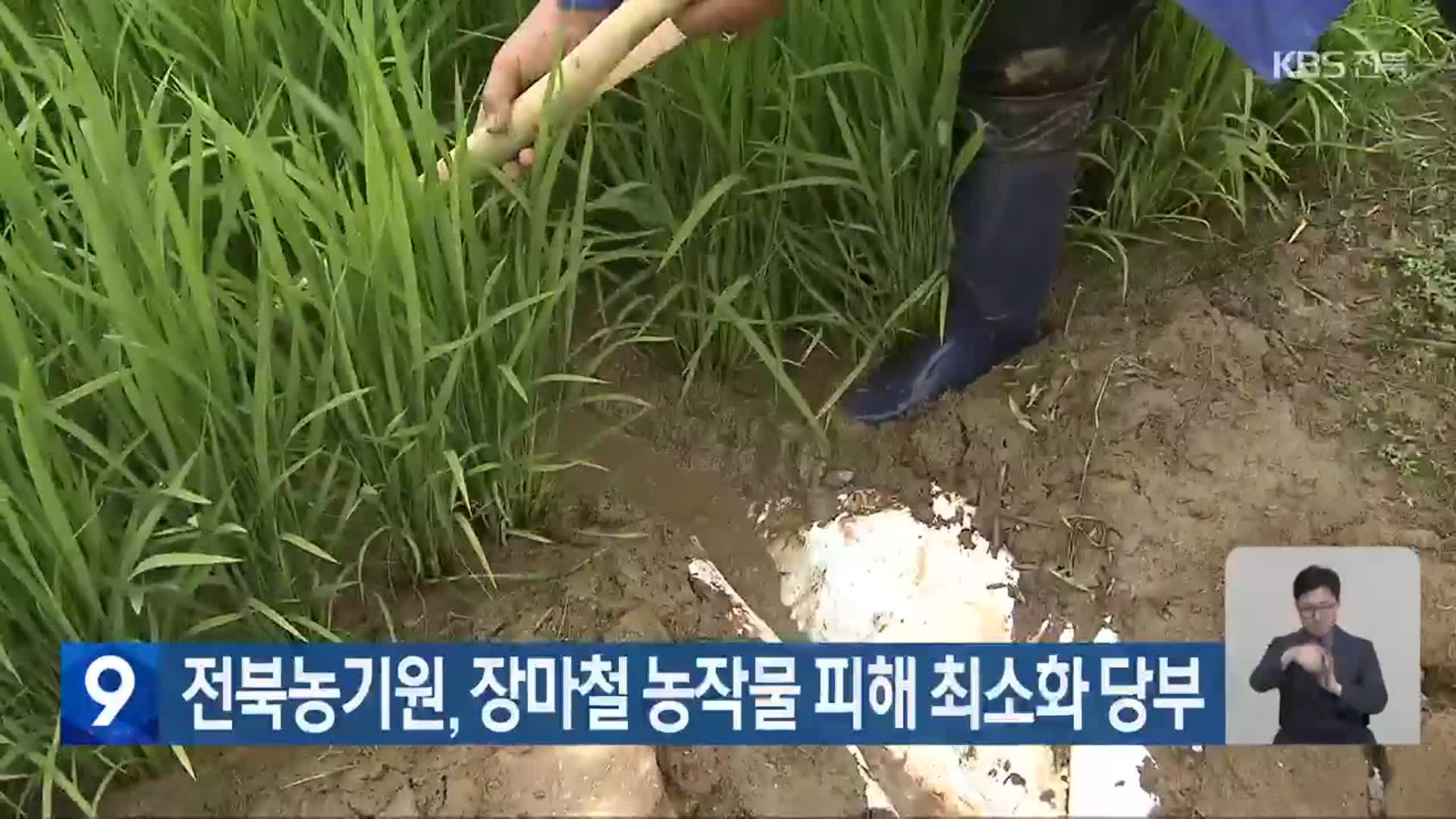 전북농기원, 장마철 농작물 피해 최소화 당부