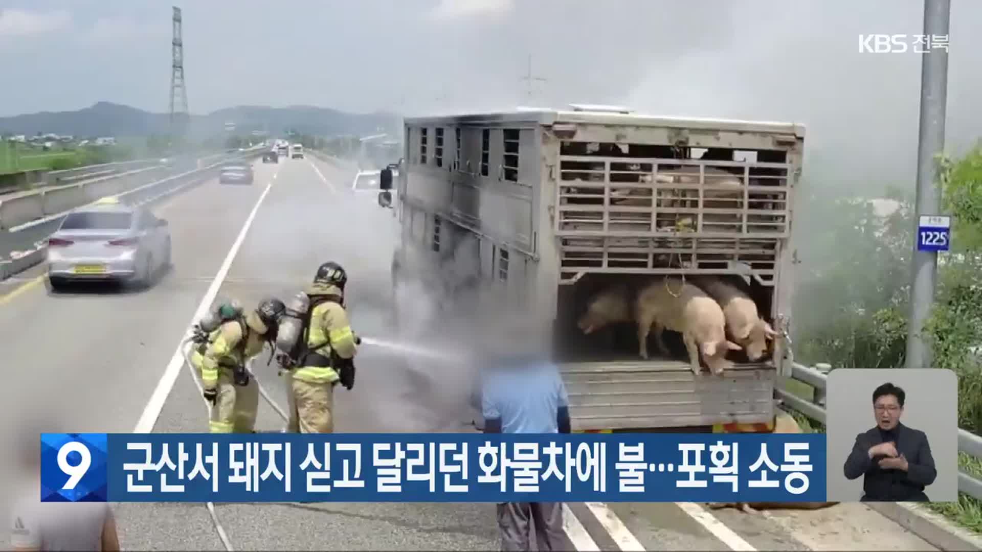 군산서 돼지 싣고 달리던 화물차에 불…포획 소동