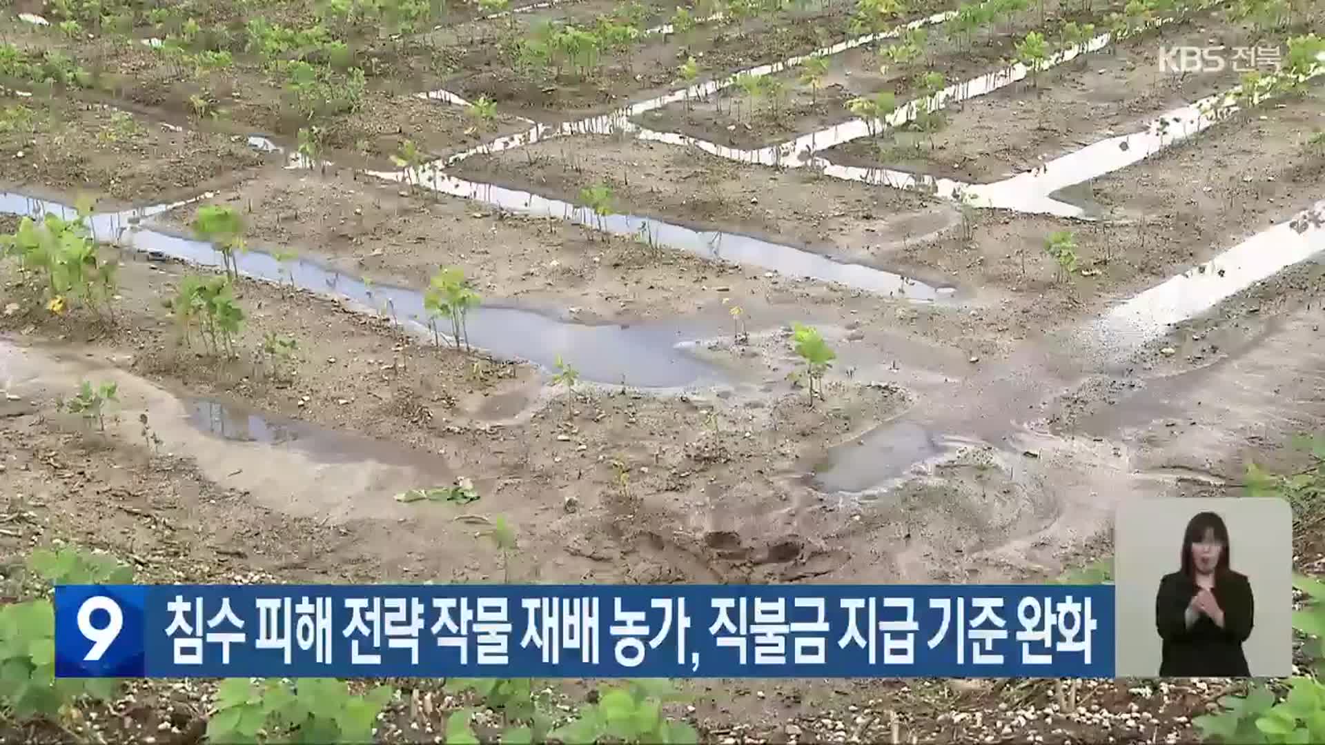 침수 피해 전략 작물 재배 농가, 직불금 지급 기준 완화