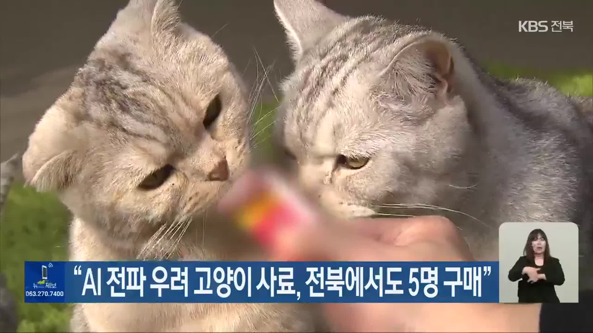 “AI 전파 우려 고양이 사료, 전북에서도 5명 구매”