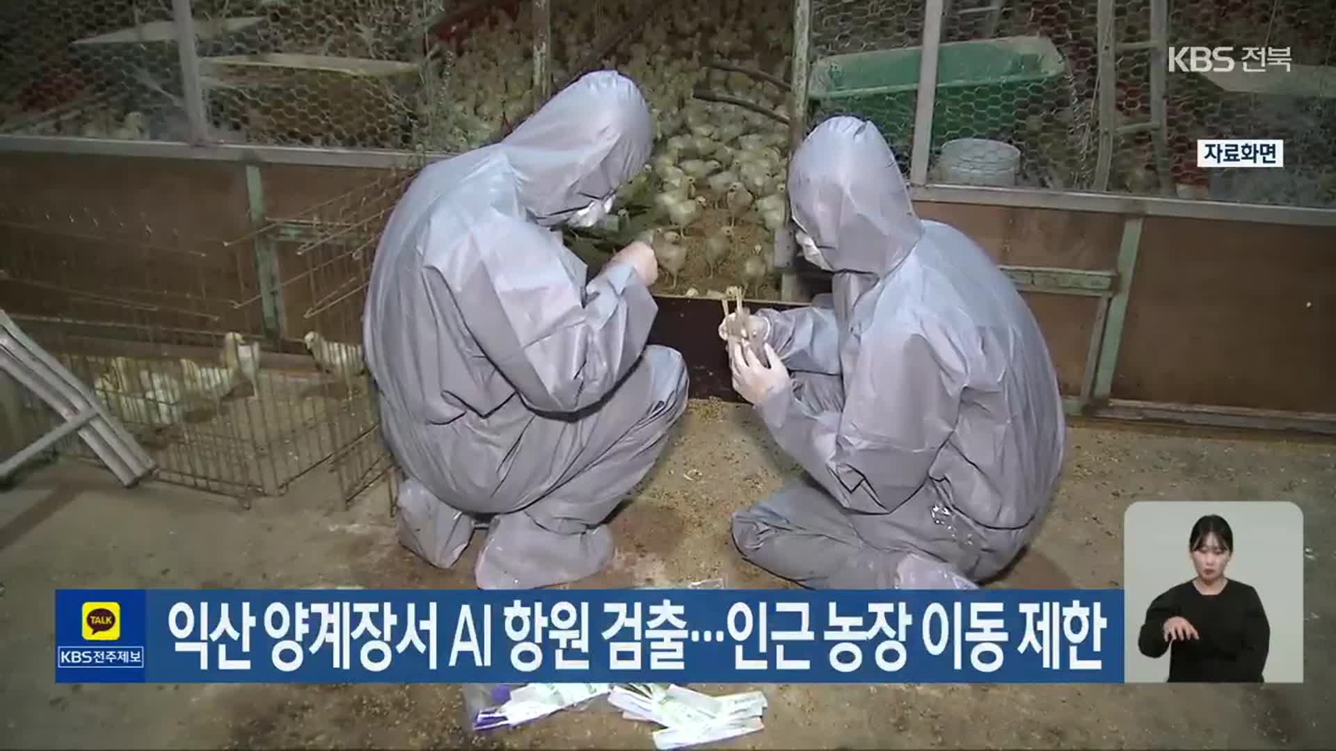 익산 양계장서 AI 항원 검출…인근 농장 이동 제한