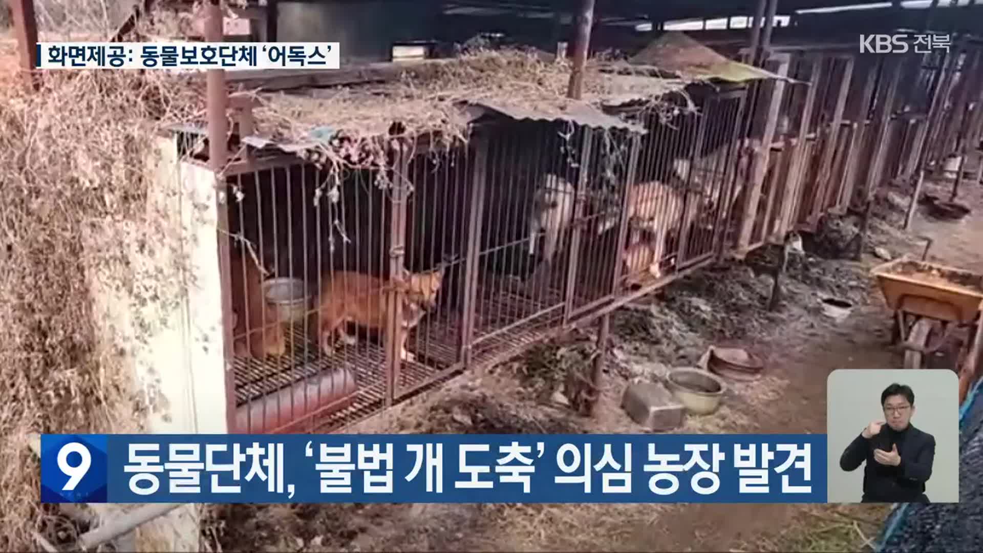 동물단체, ‘불법 개 도축’ 의심 농장 발견