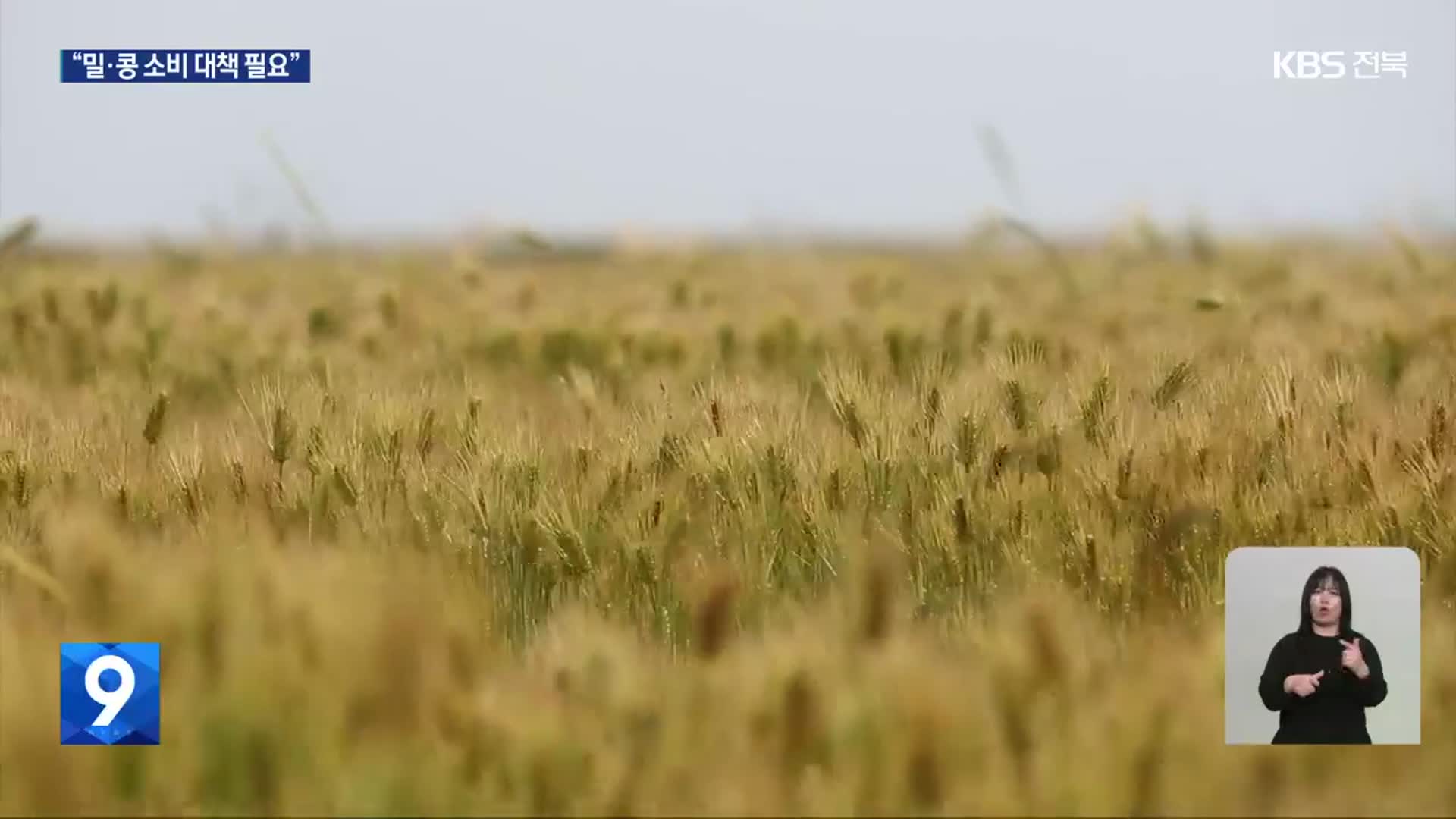 전략작물직불제 확대…“밀·콩 소비 대책 필요”