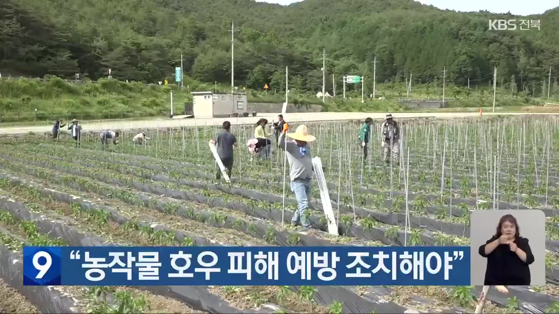 “농작물 호우 피해 예방 조치해야”