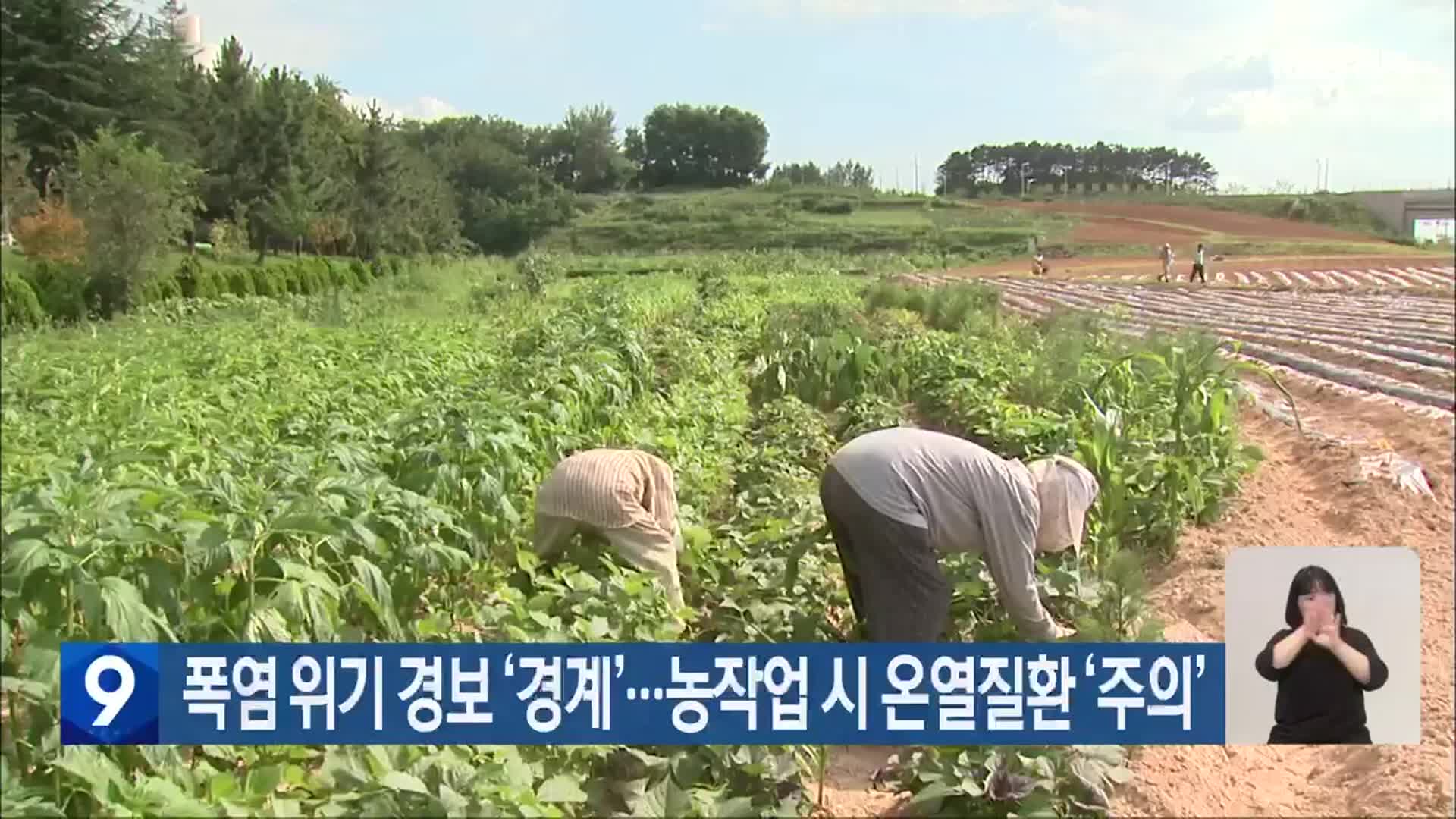 폭염 위기 경보 ‘경계’…농작업 시 온열질환 ‘주의’