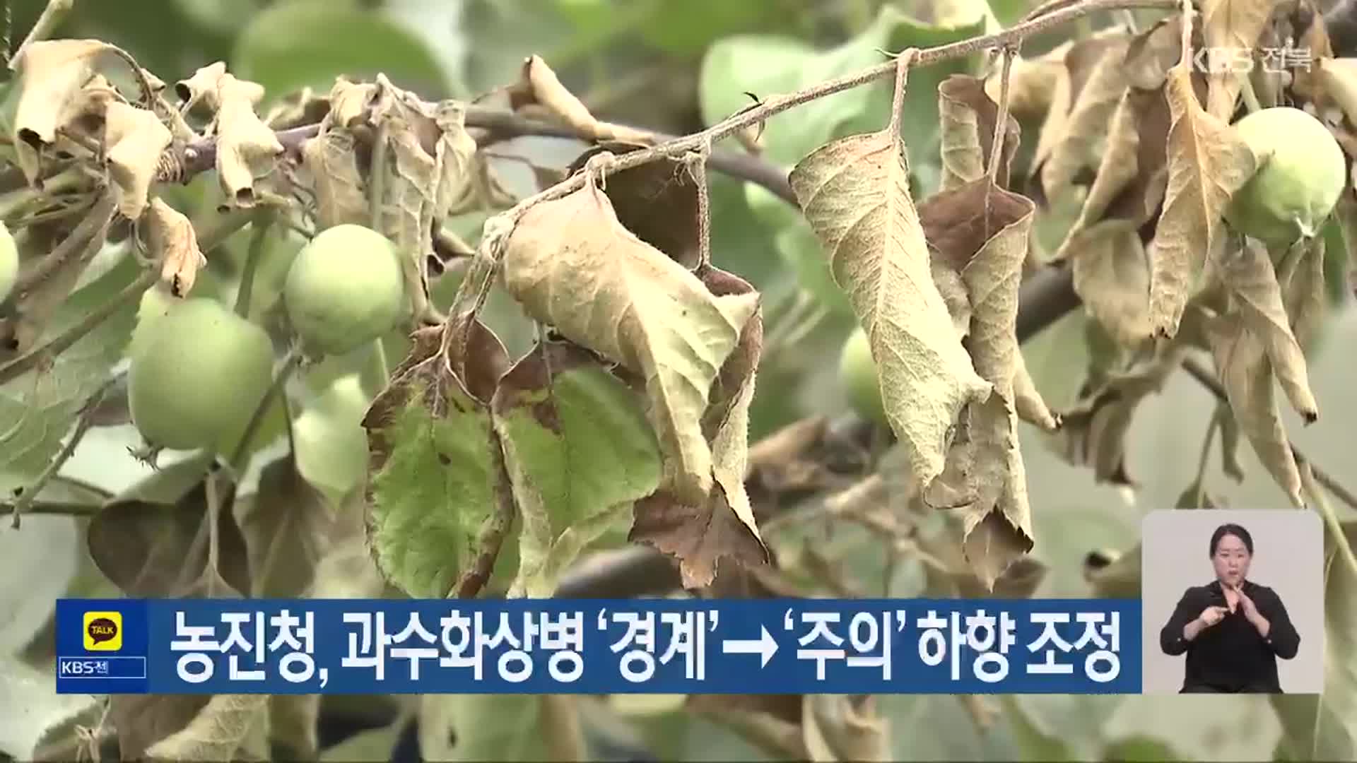농진청, 과수화상병 ‘경계’→‘주의’ 하향 조정