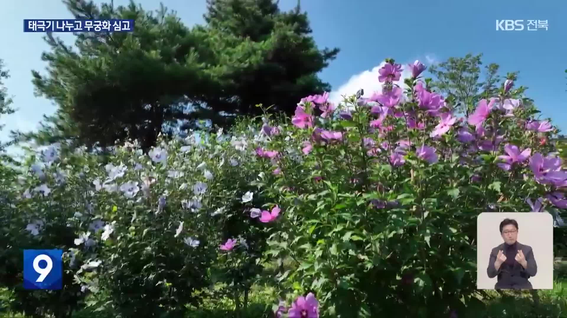 태극기 날리는 아파트…무궁화 가득한 공원