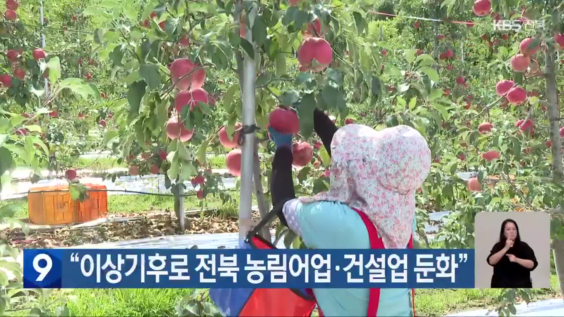 “이상기후로 전북 농림어업·건설업 둔화”