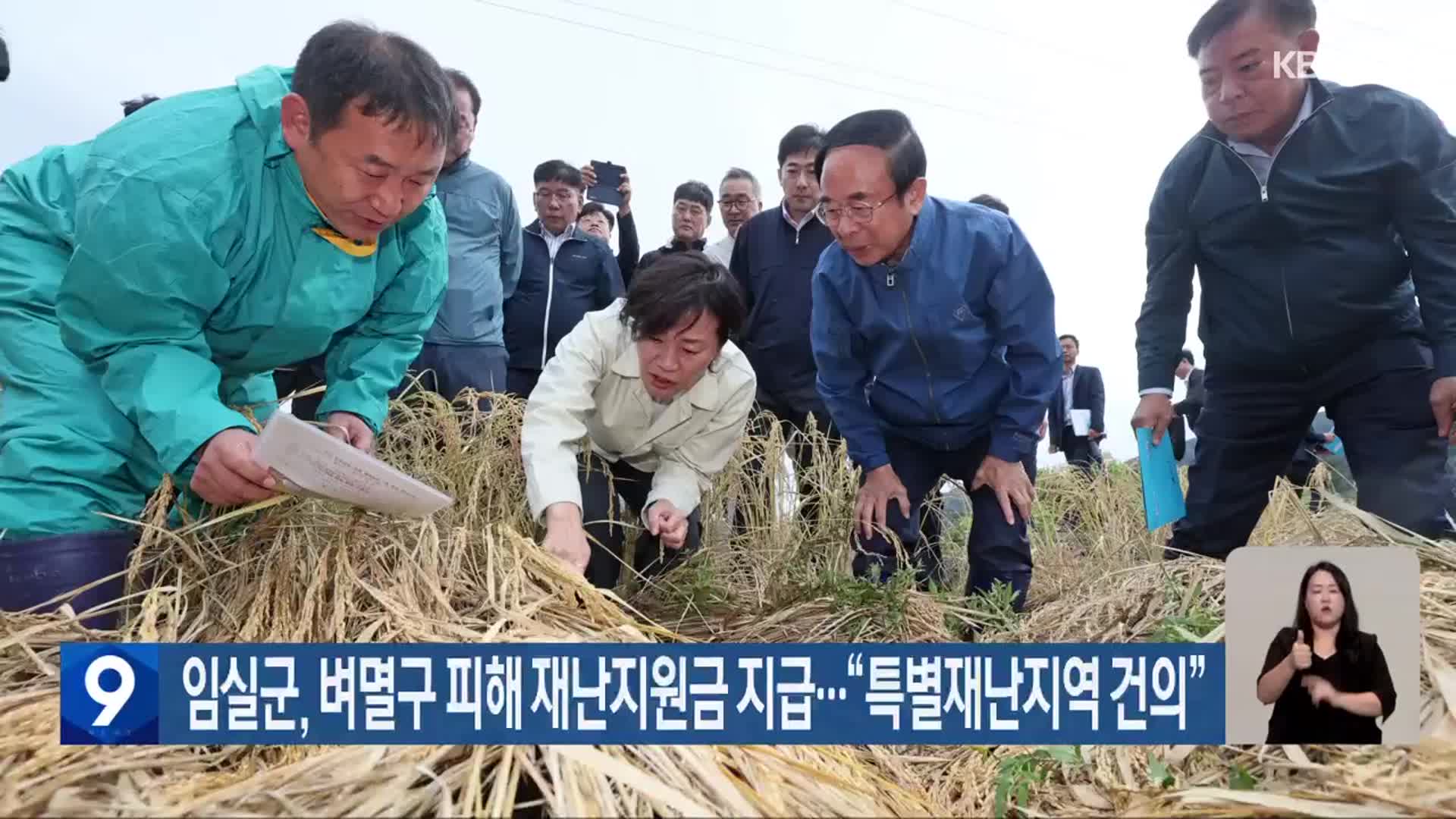 임실군, 벼멸구 피해 재난지원금 지급…“특별재난지역 건의”