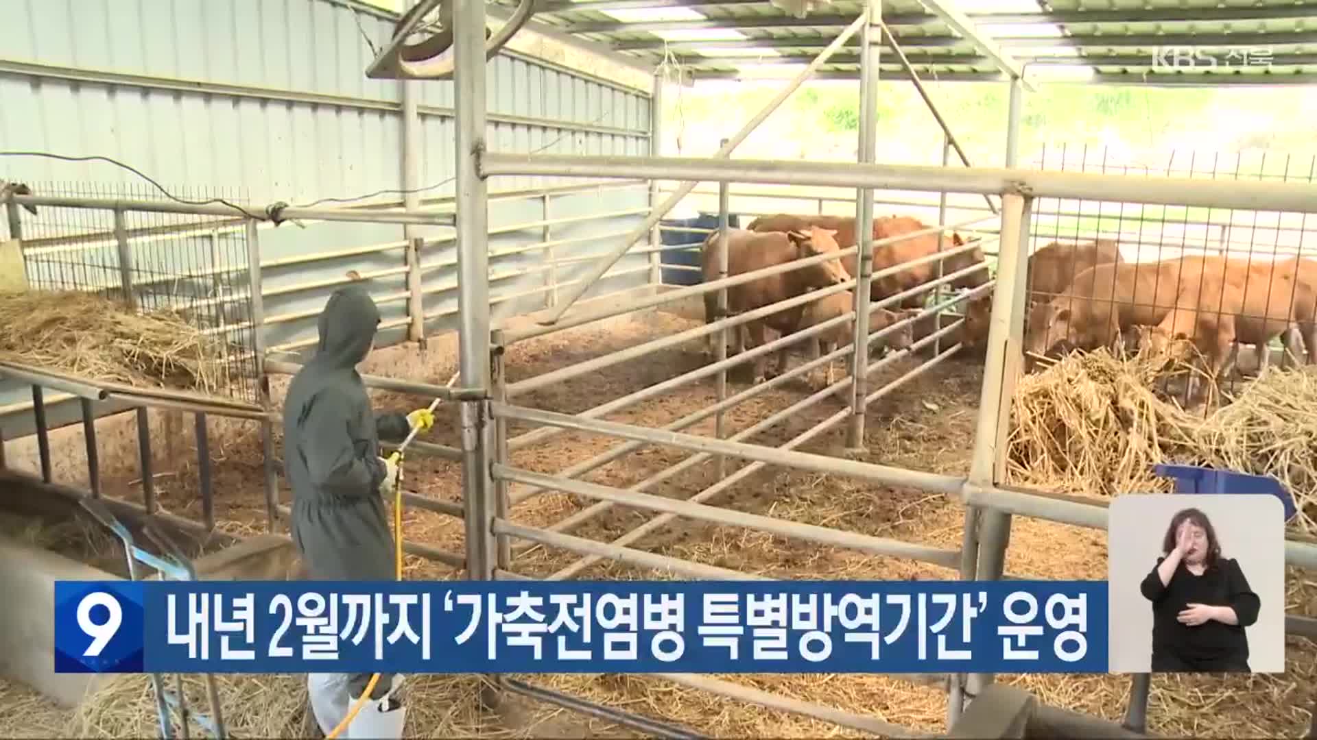 내년 2월까지 ‘가축전염병 특별방역기간’ 운영