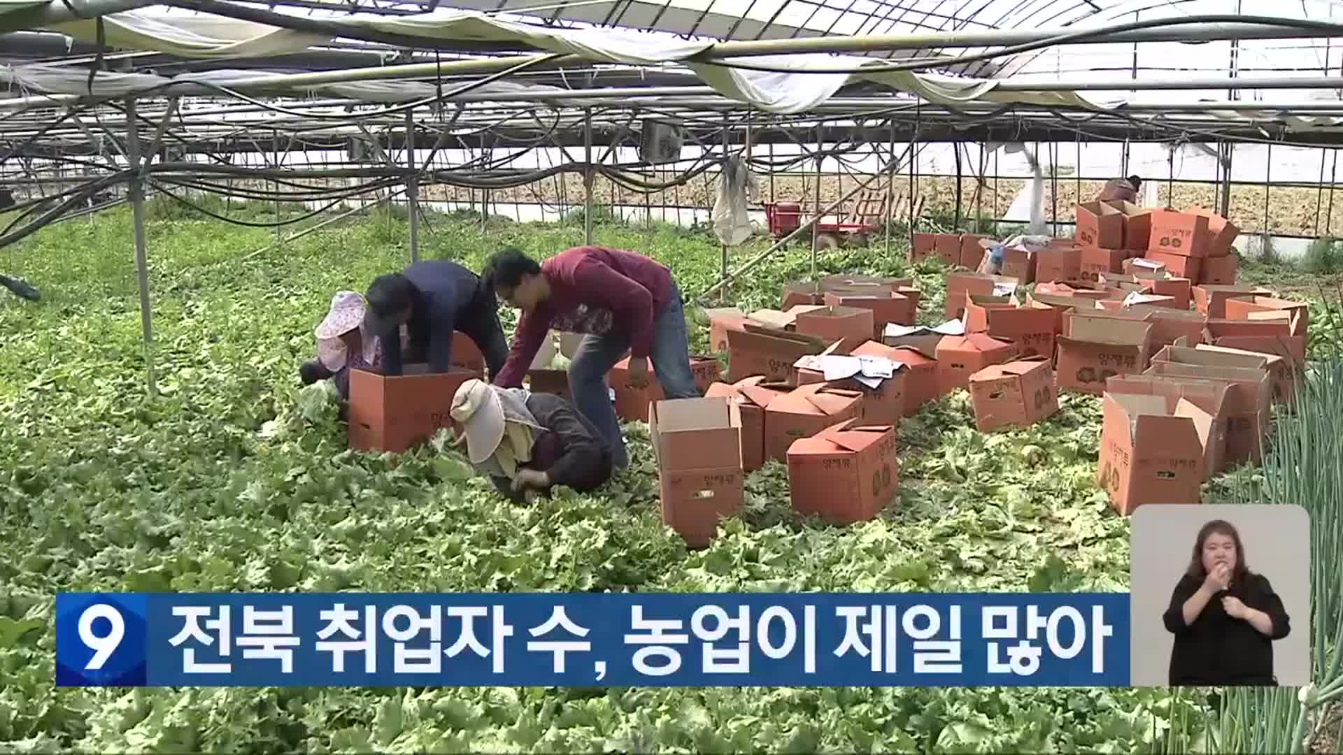 전북 취업자 수, 농업이 제일 많아