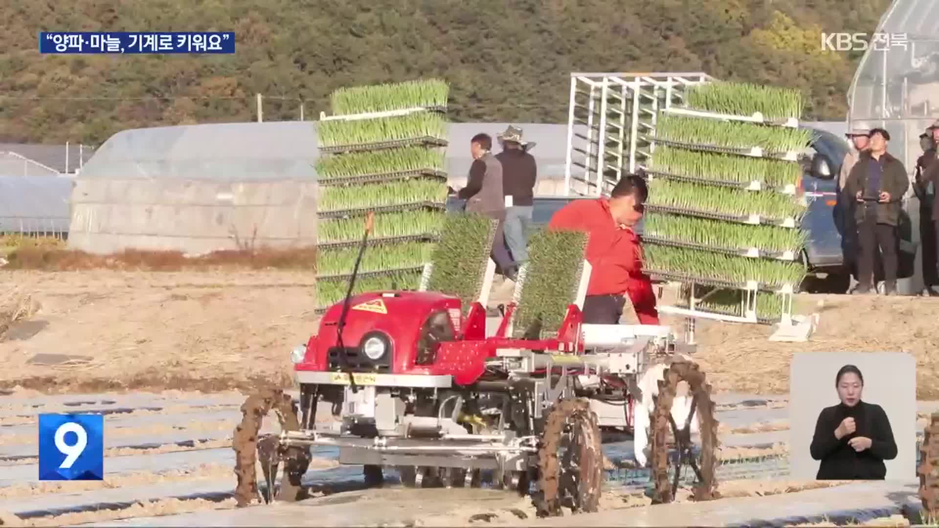 “파종부터 수확까지”…양파·마늘 전면 기계화 재배 성공