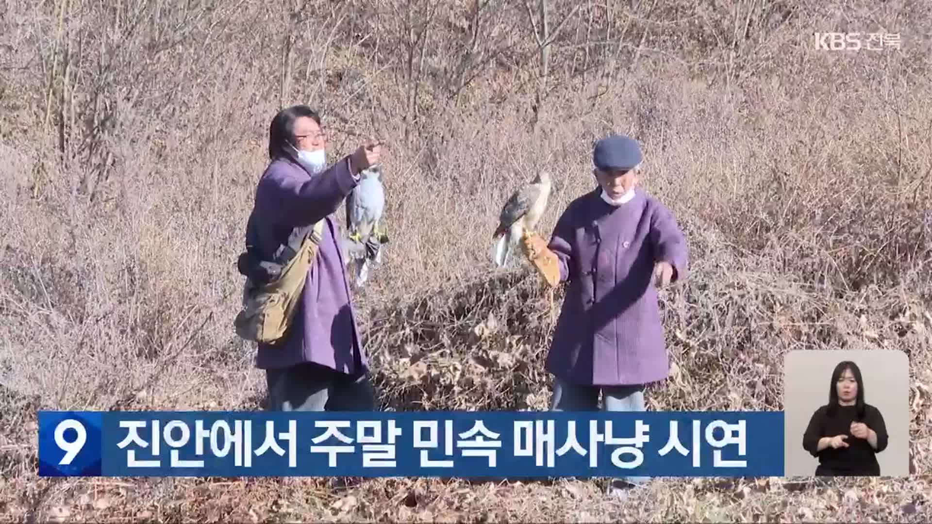 진안에서 주말 민속 매사냥 시연