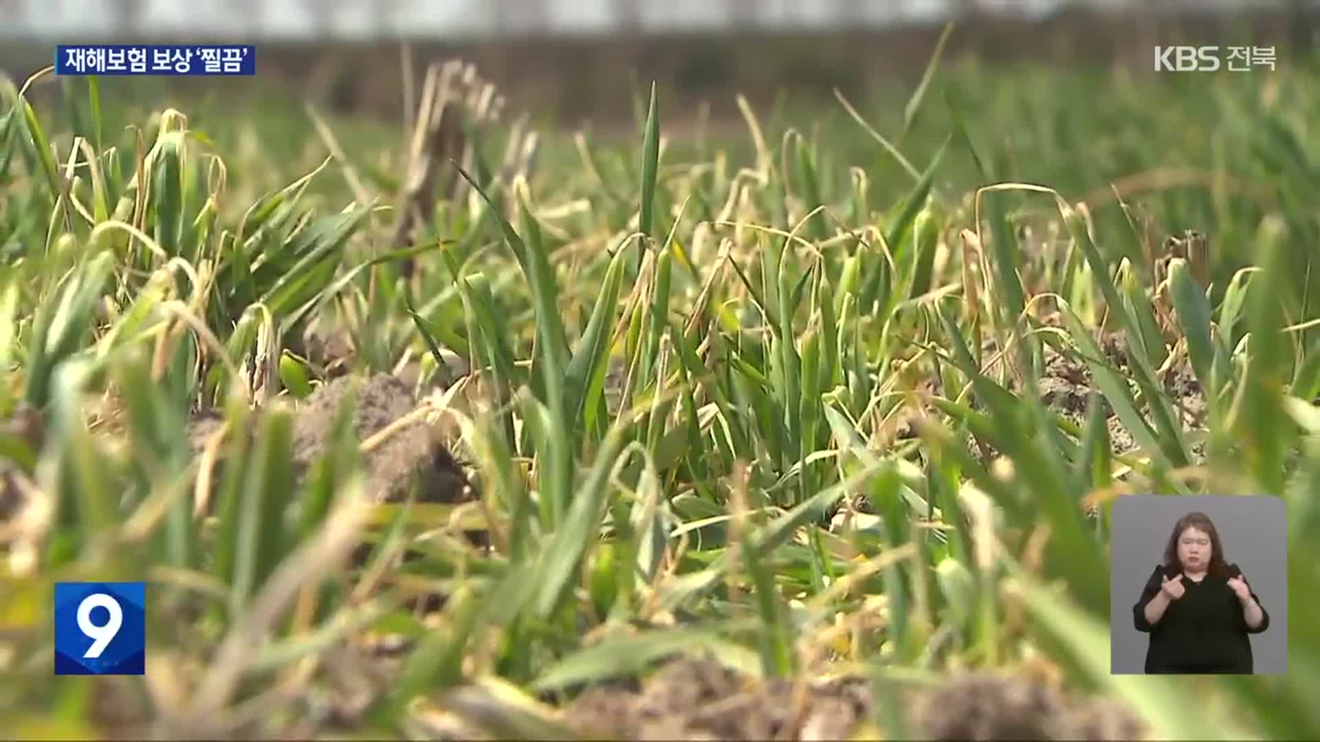 기후변화 속 농작물 재해보험 보상 ‘찔끔’…“공적보험 전환해야”
